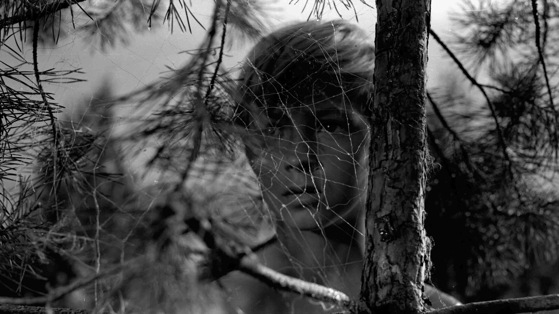 1920x1080 Mirroring Tarkovsky season at BFI Southbank Artificial Eye