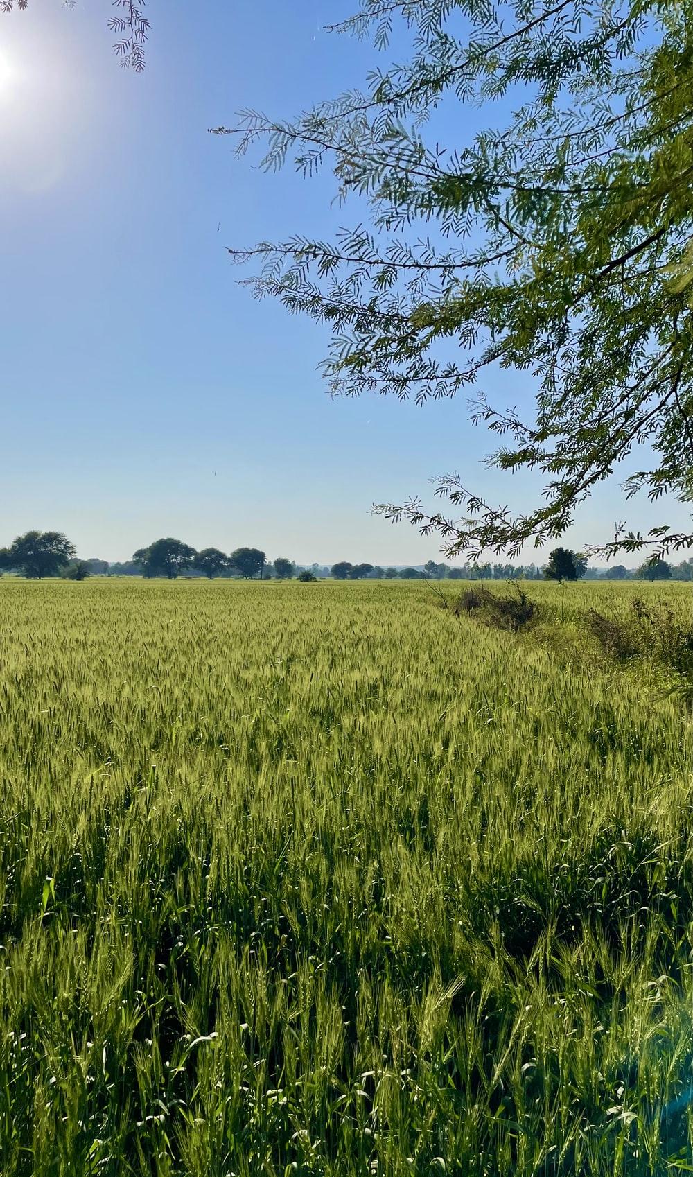 1000x1698 Indian Farmer Picture [HD]. Download Free Image