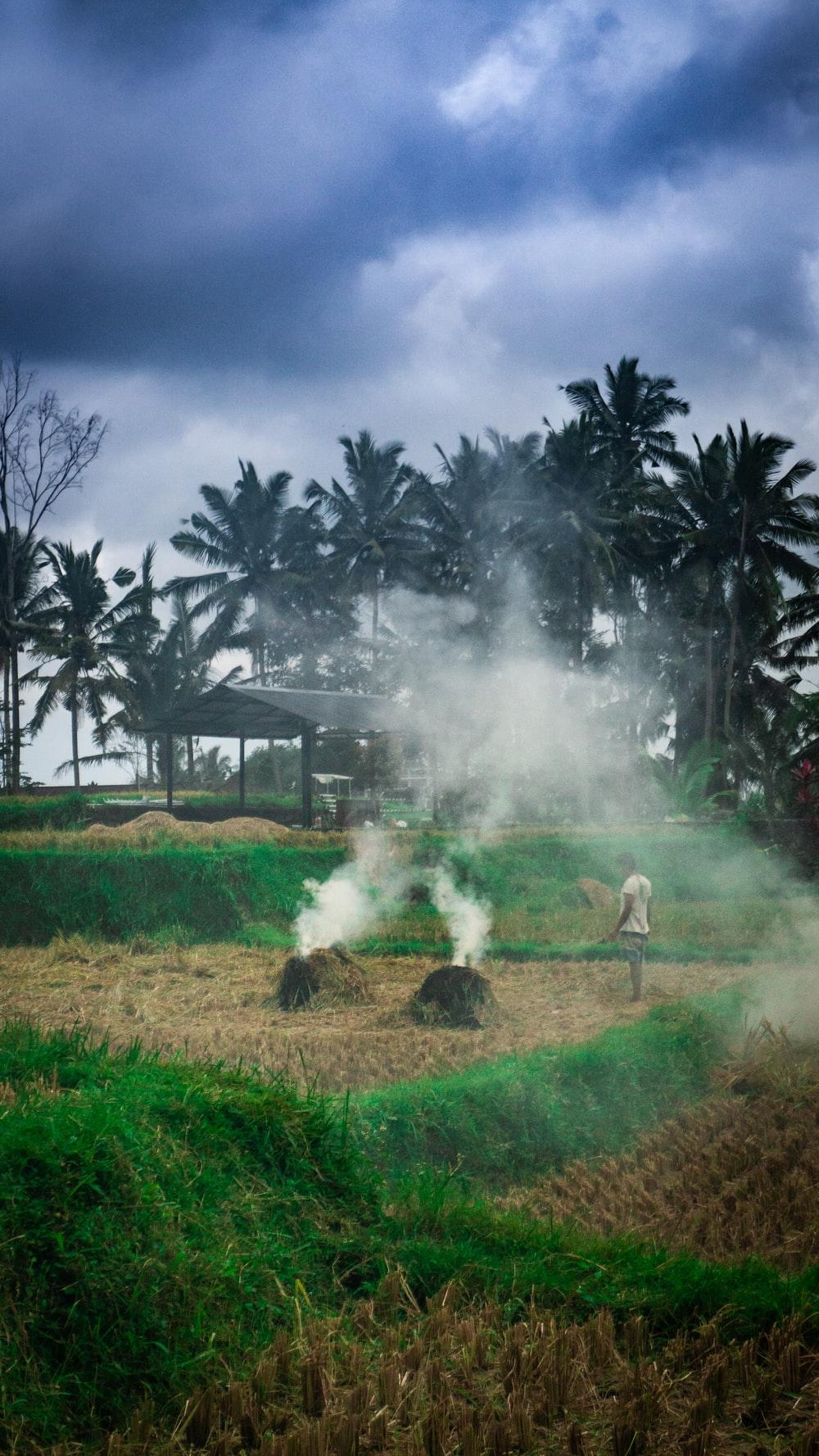 1000x1777 Indian Agriculture Picture. Download Free Image