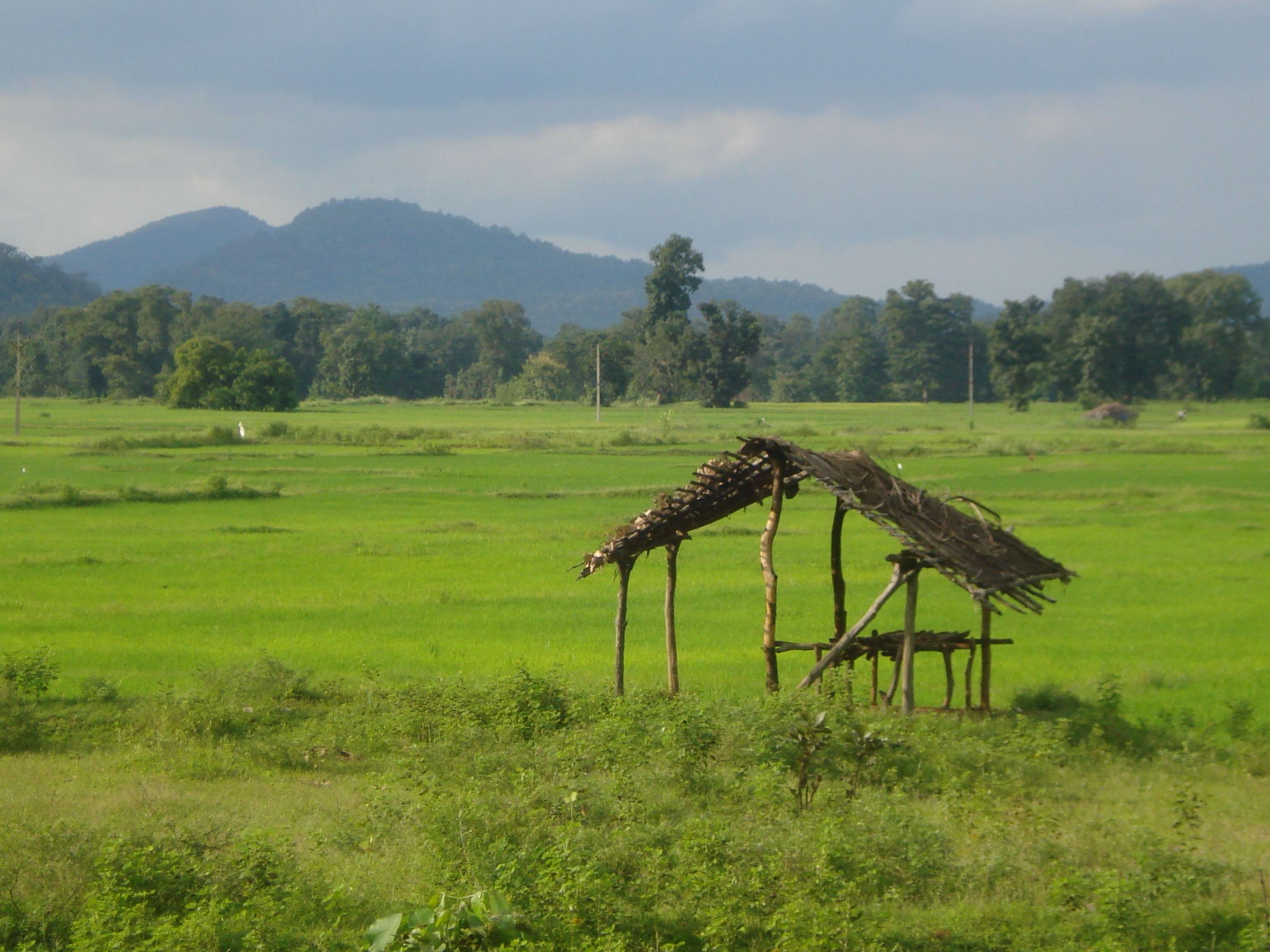 3072x2304 agriculture, farmer, field, hut, india, indian hut, indian village wallpaper. Mocah HD Wallpaper