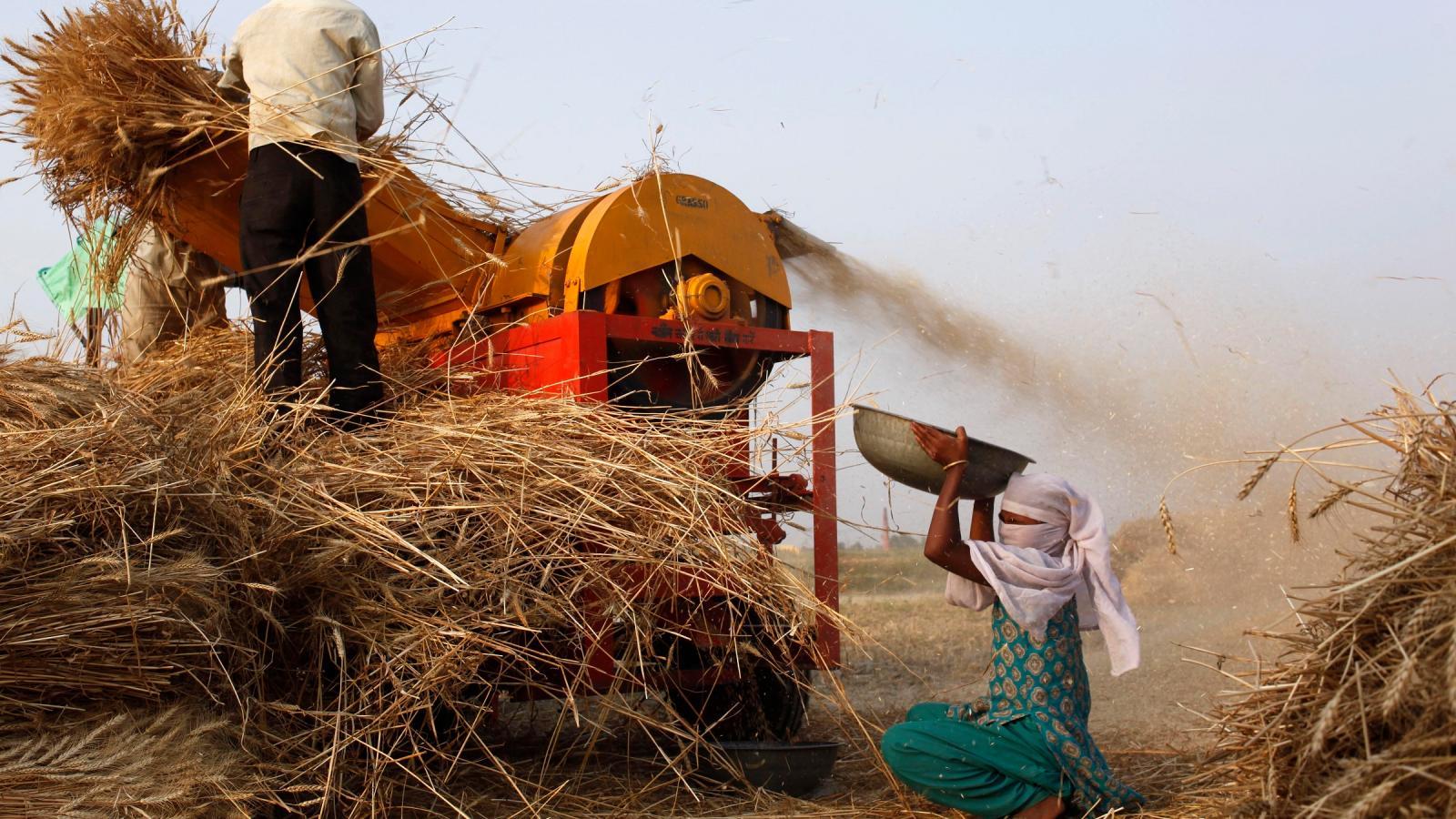 1600x900 These five innovations can help improve India's abysmal farm productivity