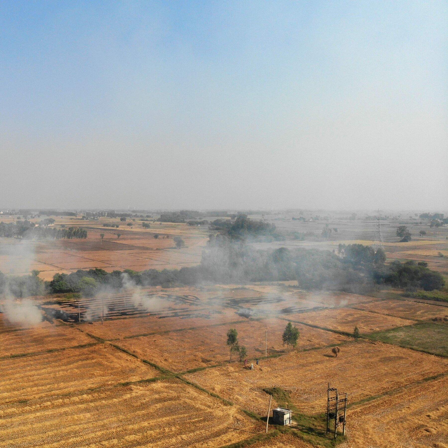 1800x1800 India's Farmers Protest and Burn Fields in Challenge to Narendra Modi