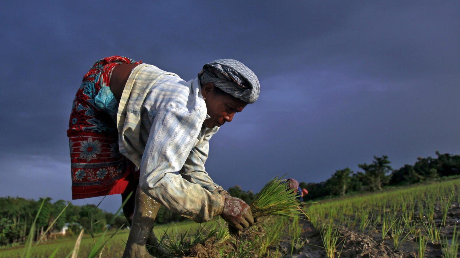 1600x900 Why are Indian farmers protesting?