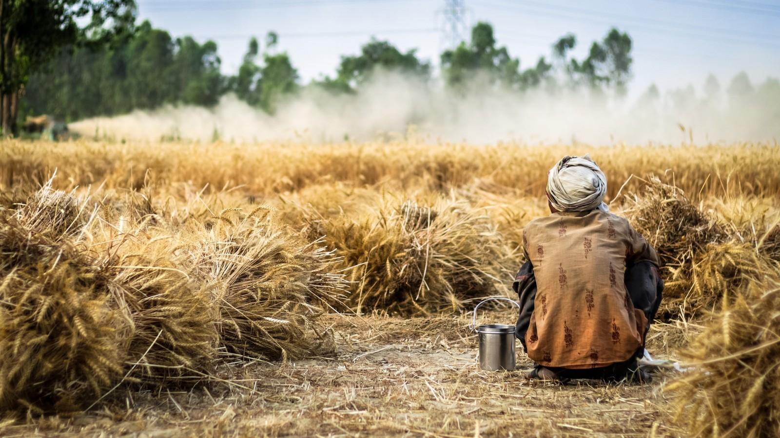 1600x900 The Crisis in Indian Agriculture Pragati