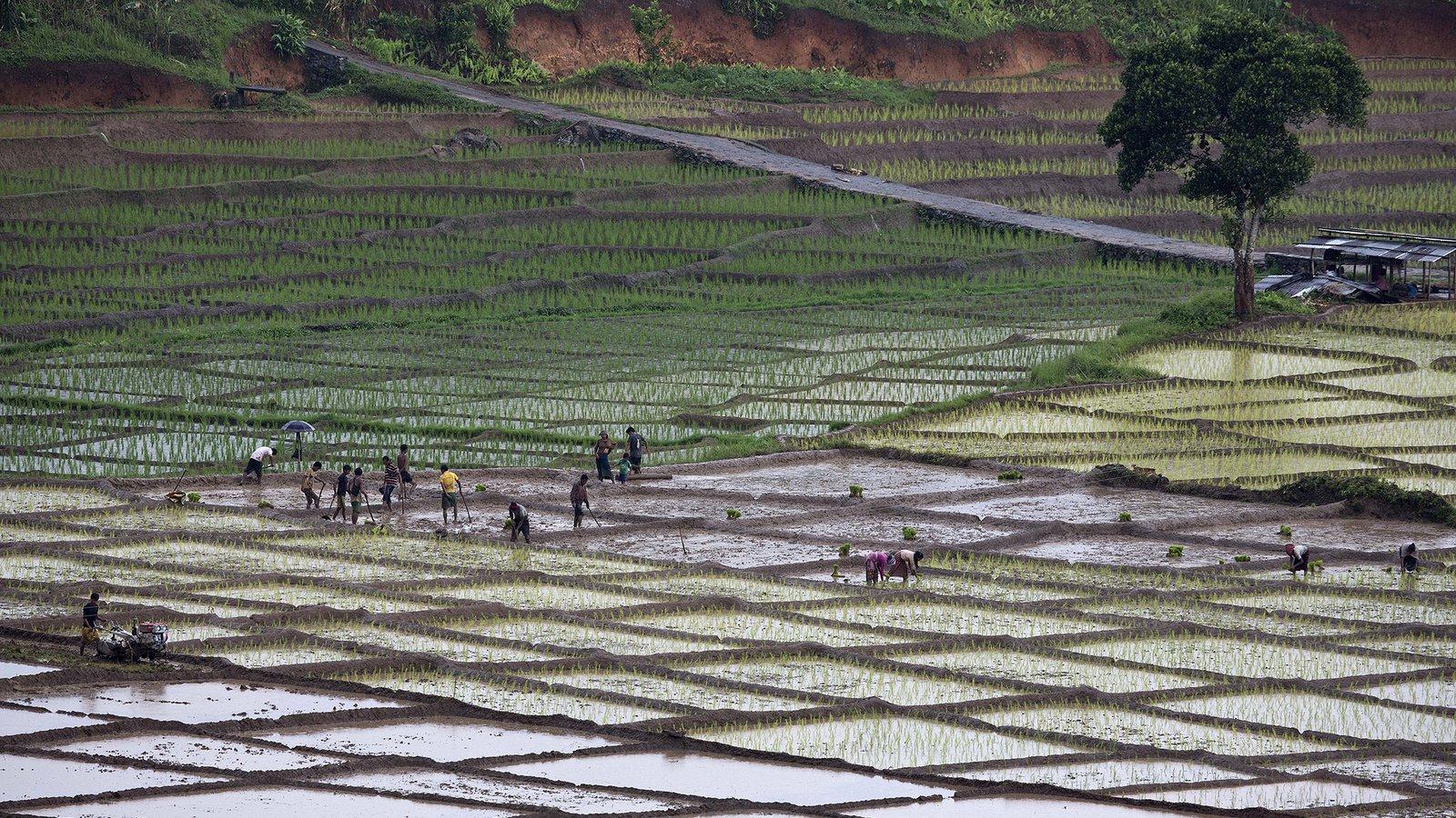 1600x900 Driven From Their Homes by Climate Change, Indian Women Are Forced to Find New Livelihoods