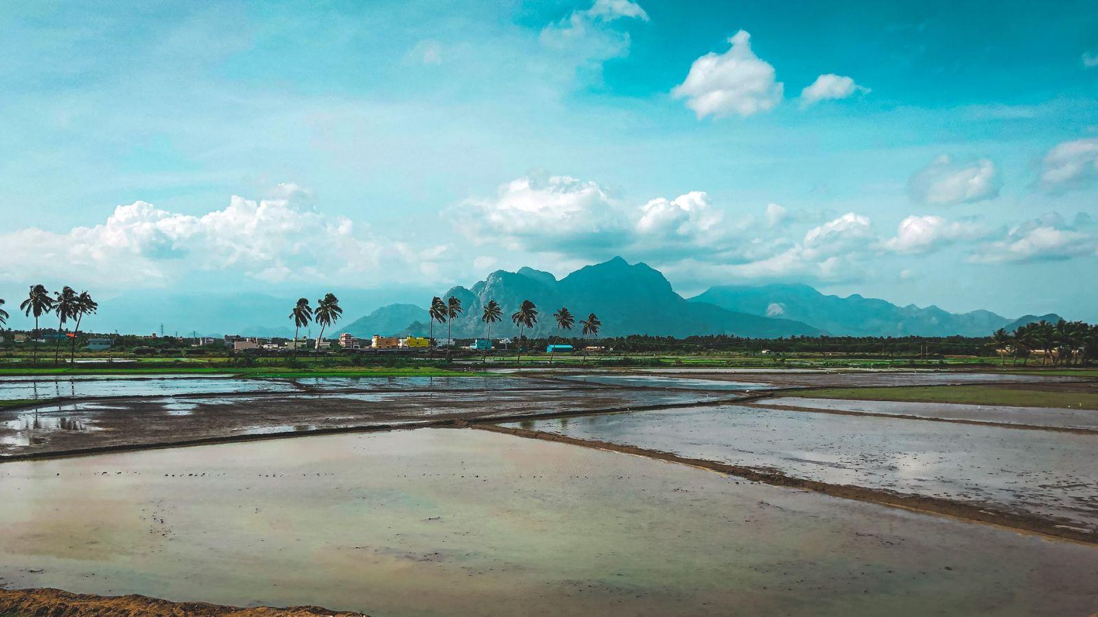 1600x900 India: Agricultural Resilience in the face of continuing climate impacts. Climate Bonds Initiative