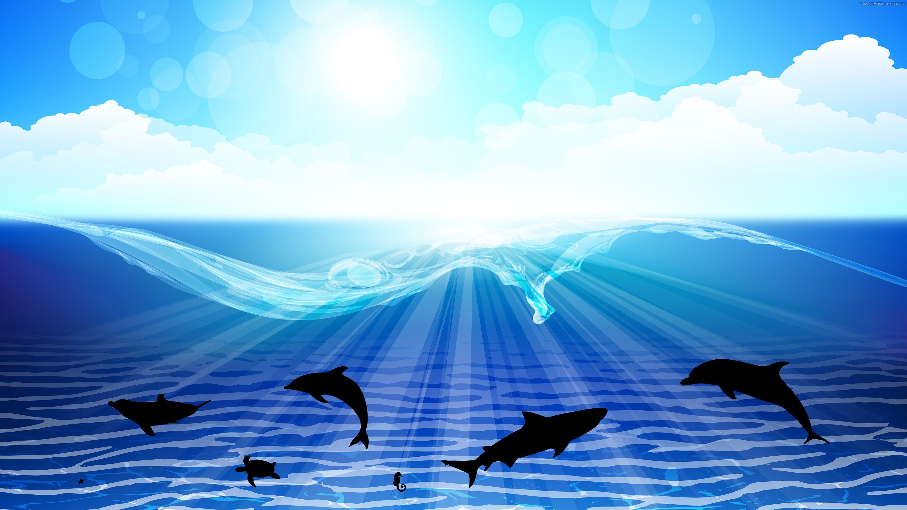 3840x2160 Free sea dolphin Ultra HD wallpaper 8K 7680x4320 & 4K 3840x2160