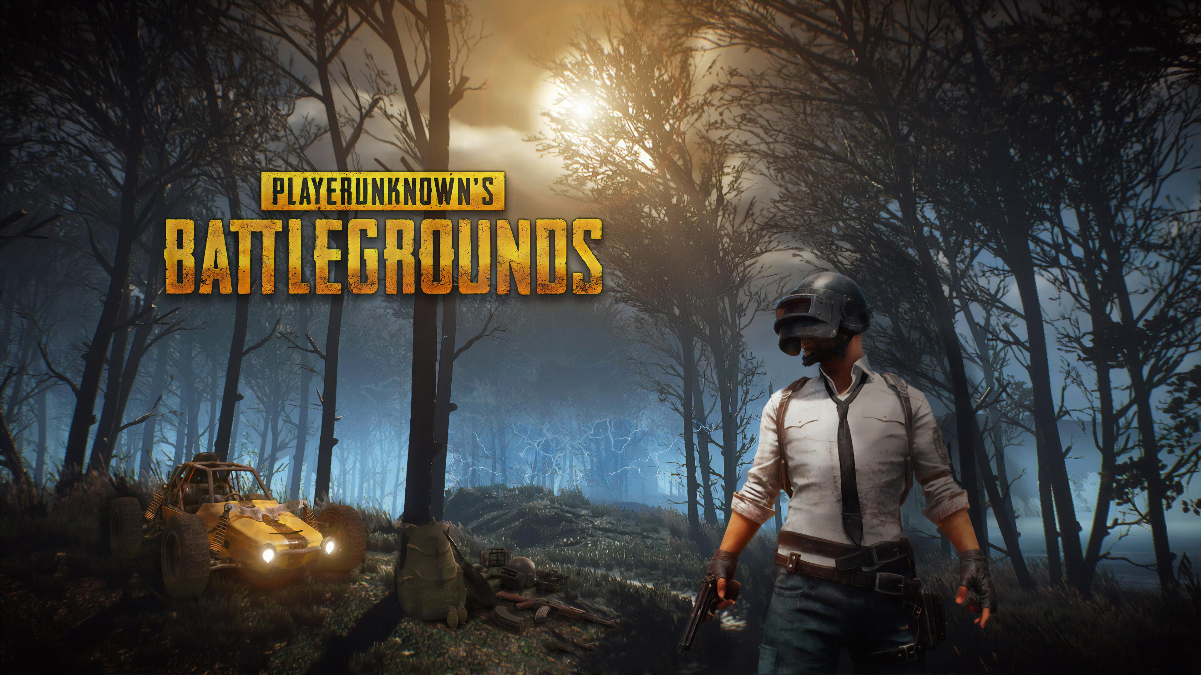3840x2160 Wallpaper HD For Pc Gaming Pubg
