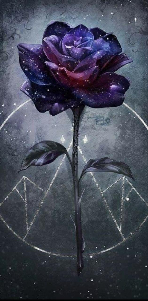 Acotar Wallpapers Top Free Acotar Backgrounds WallpaperAccess