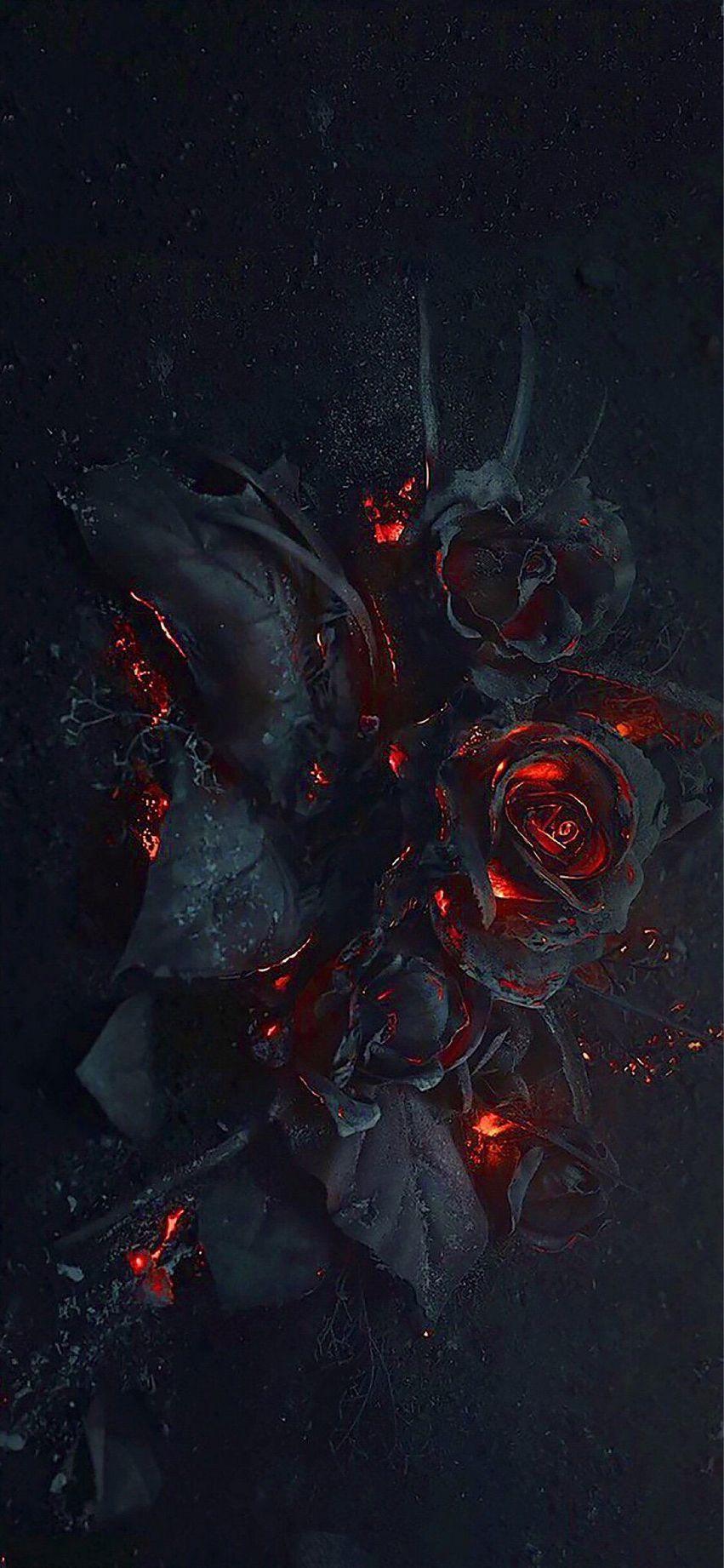 851x1842 Tumblr iPhone 7 Black Rose Wallpaper