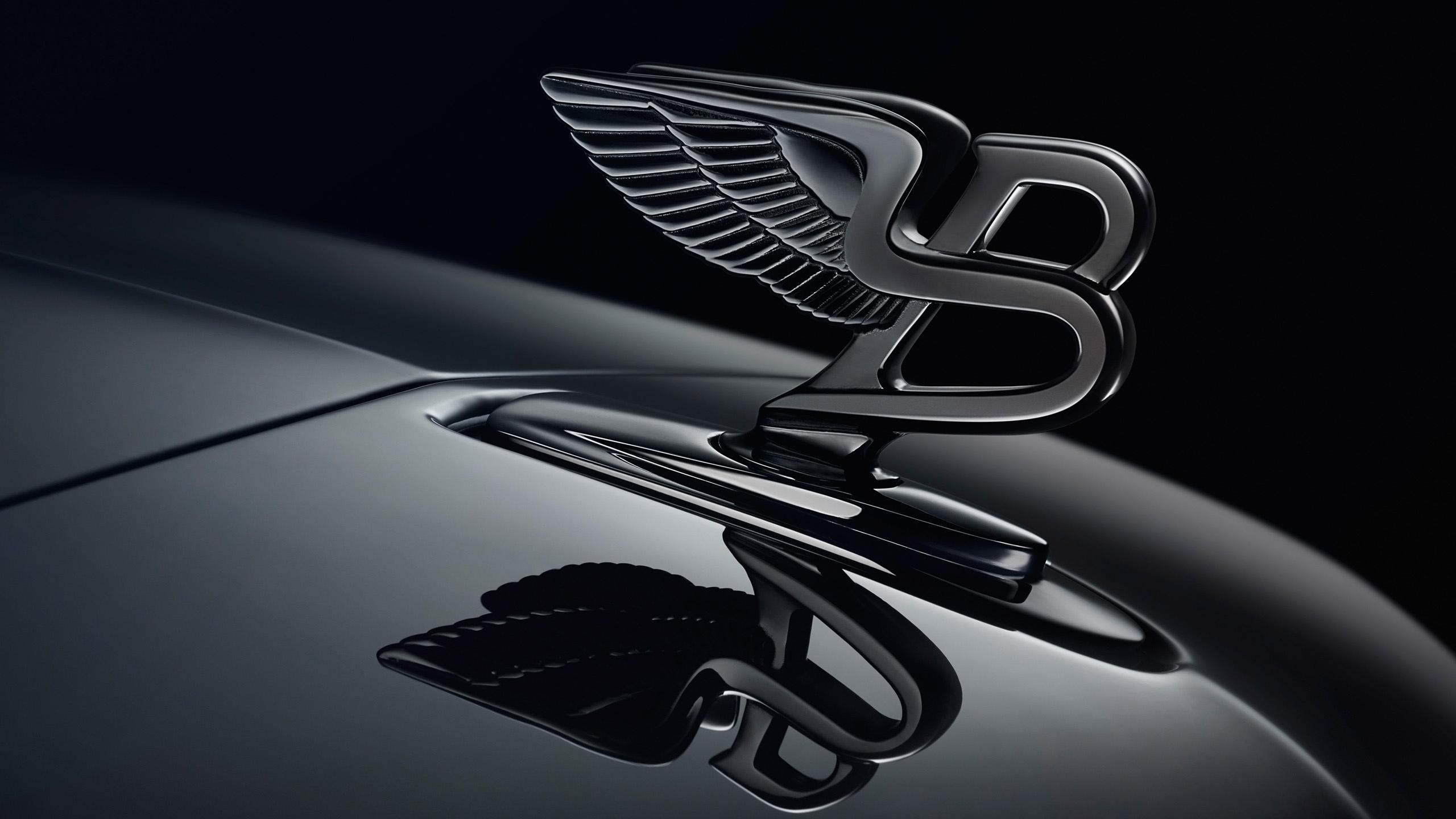2560x1440 Bentley Logo Wallpaper