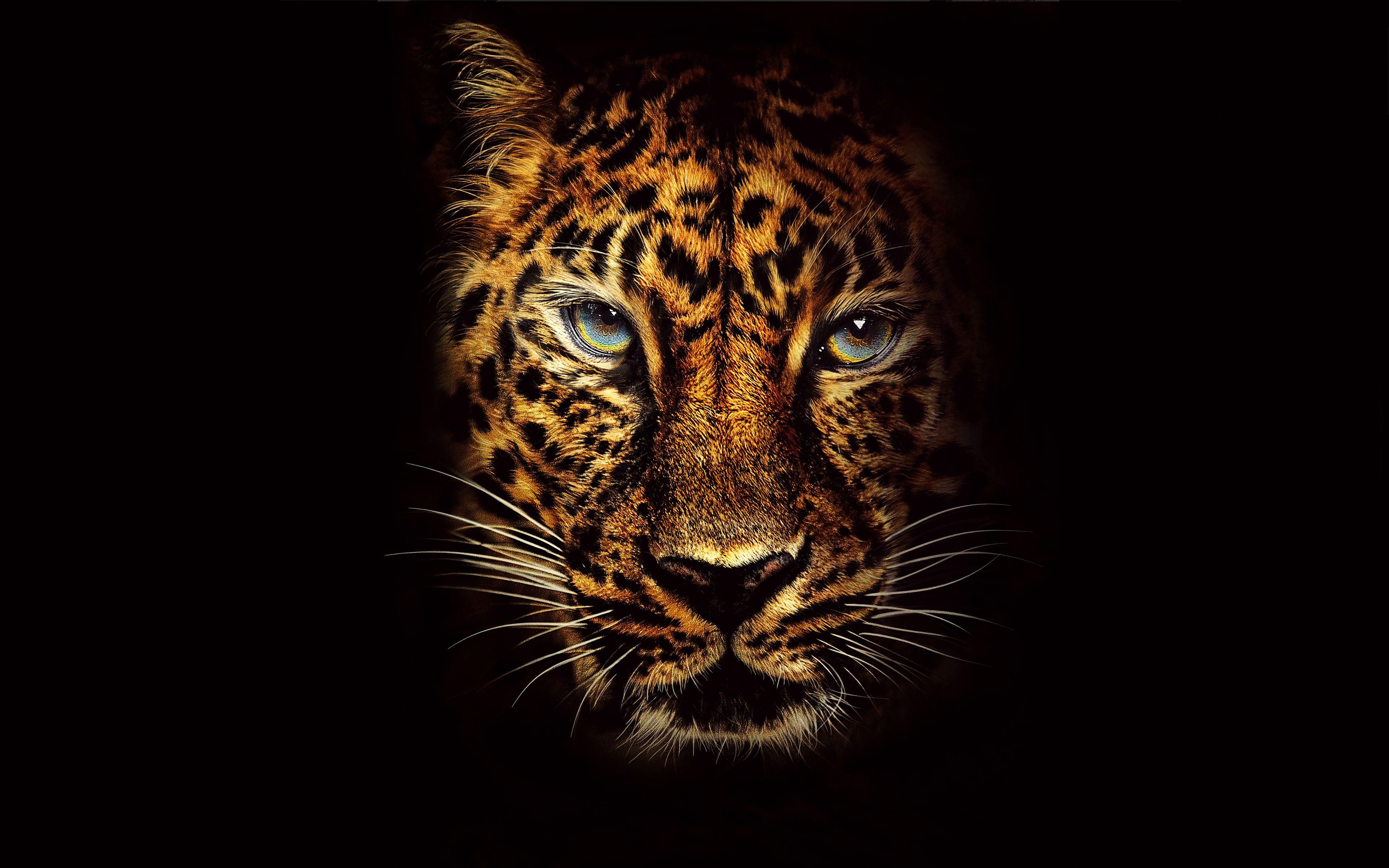 3840x2400 Jaguar in Jumanji Welcome to the Jungle 4K 8K