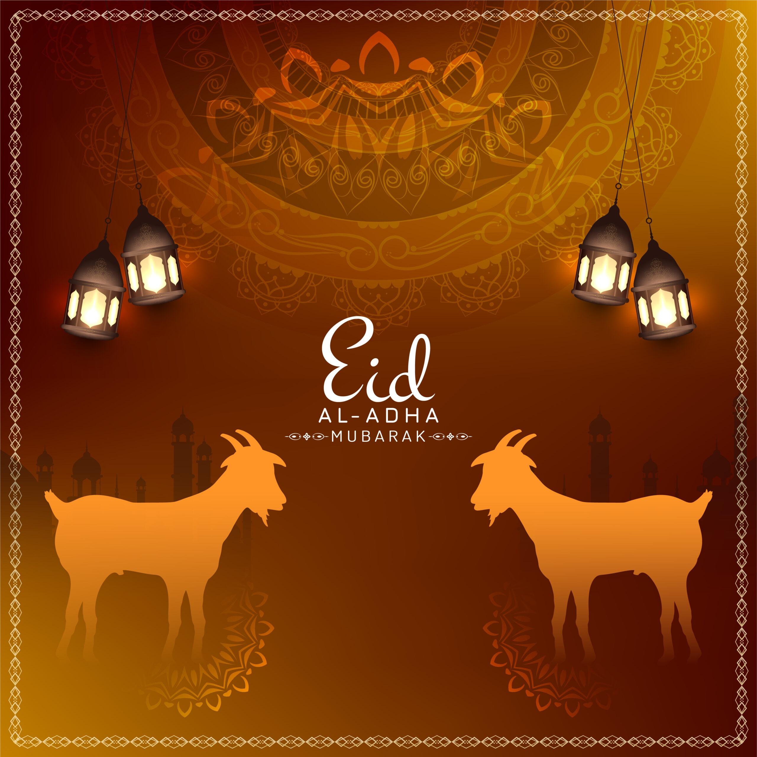 2560x2560 Happy Eid Al Adha Mubarak 2021 Image & Photo Free Download