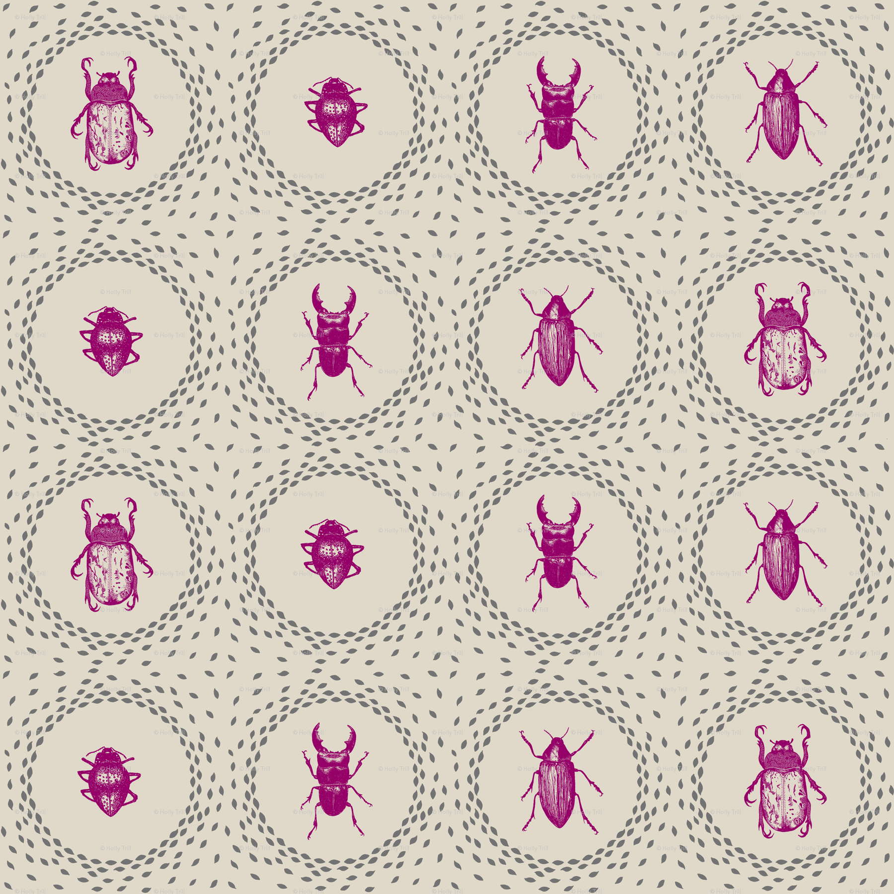 1800x1800 Holly Trill Beetles wallpaper