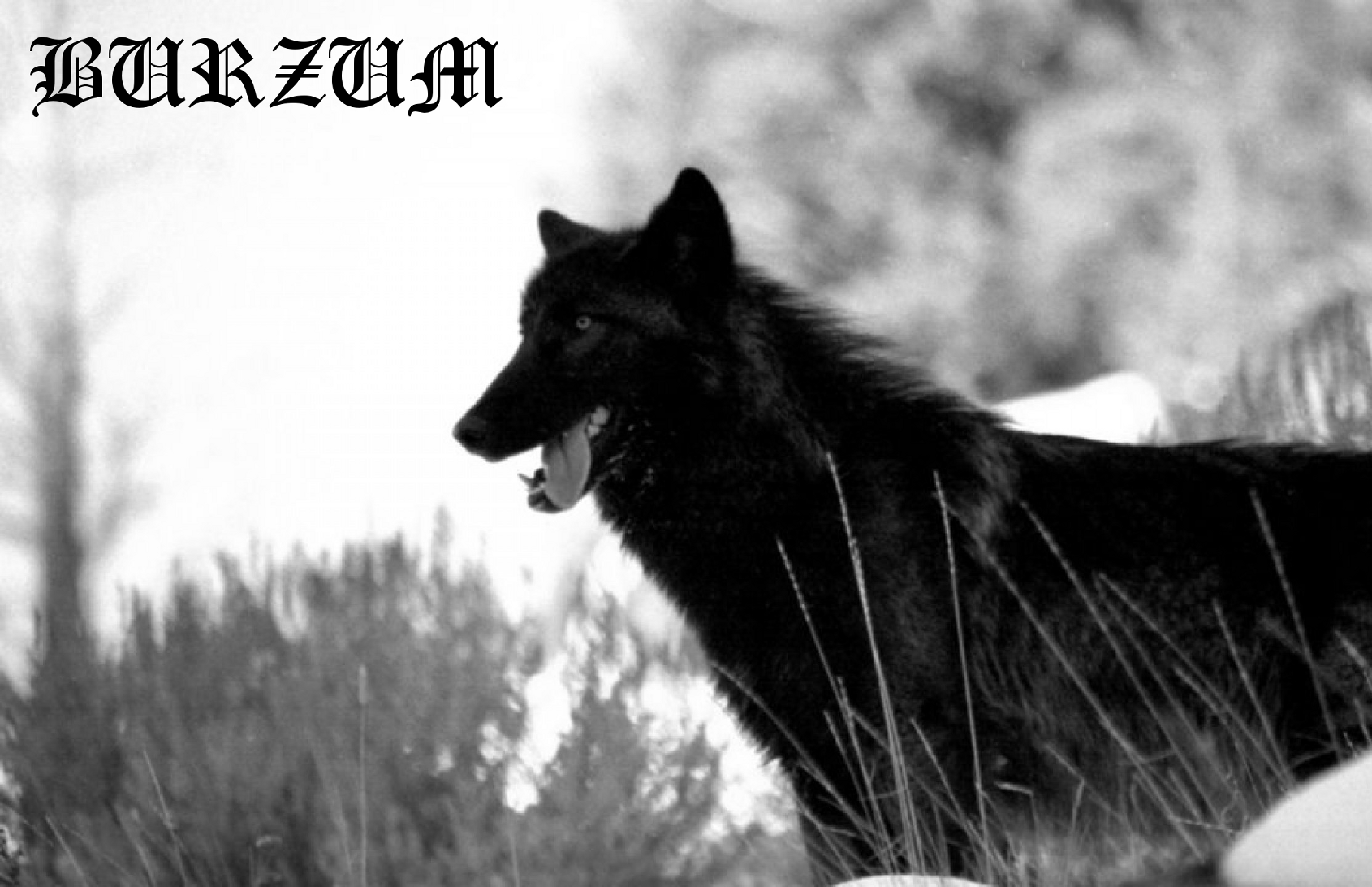 1690x1092 Burzum Filosofem Wallpaper
