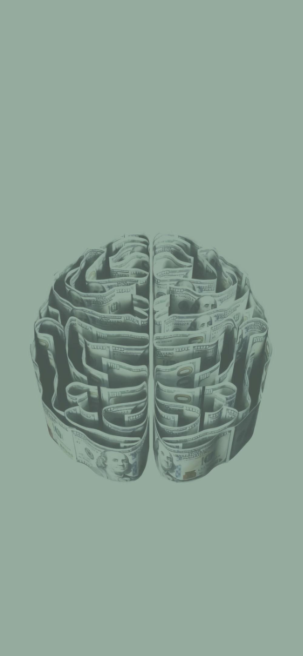 1000x2165 Brain Picture [HD]. Download Free Image