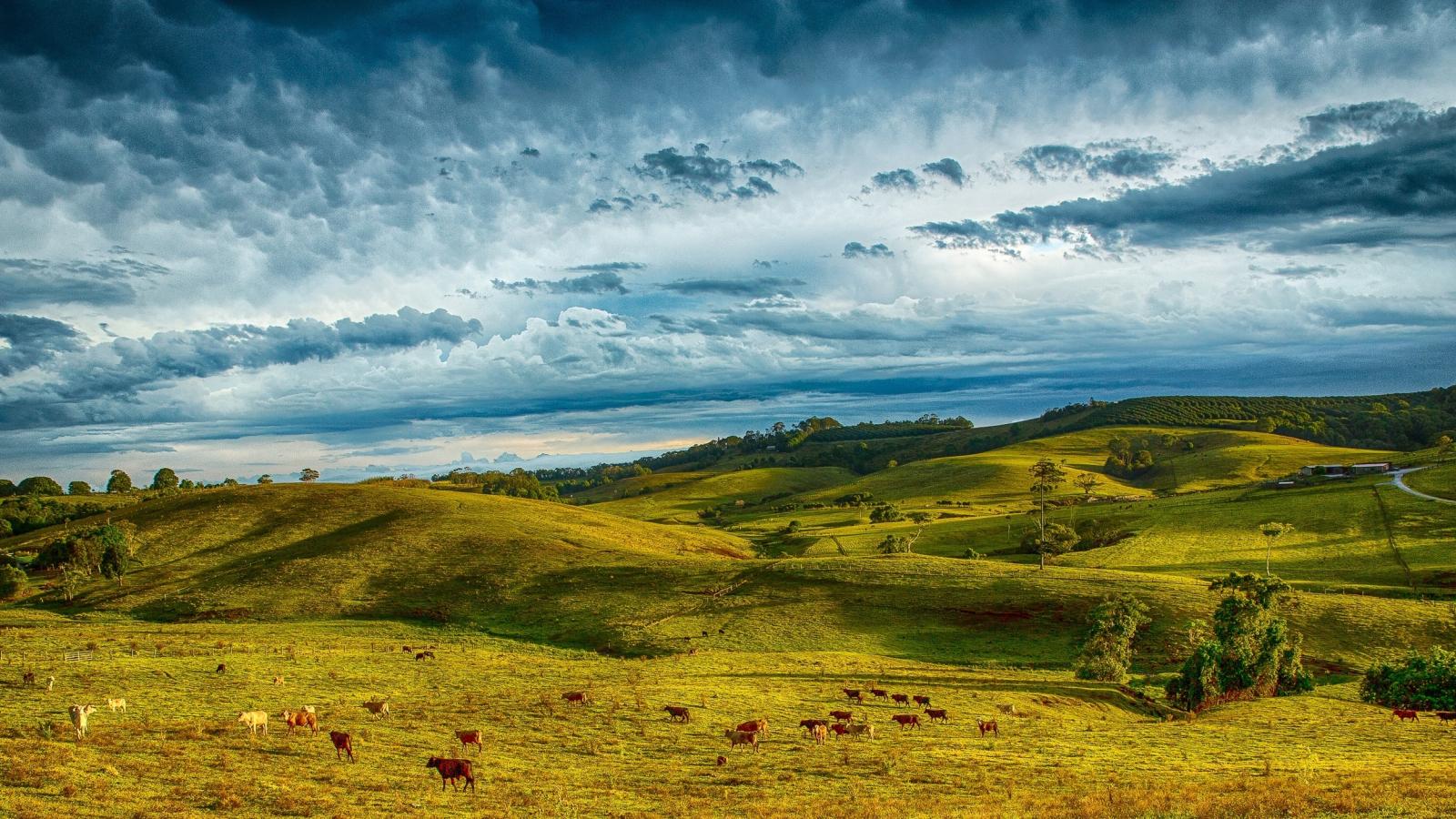 1600x900 Download 1600x900 wallpaper hills, landscape, clouds, sky, byron bay, australia, widescreen 16: widescreen, 1600x900 HD image, background, 16632