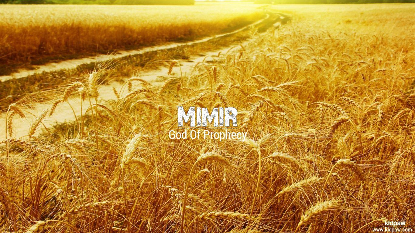 1366x768 Christian Baby Unisex Name Mimir Meanings, Religion, Origin Details