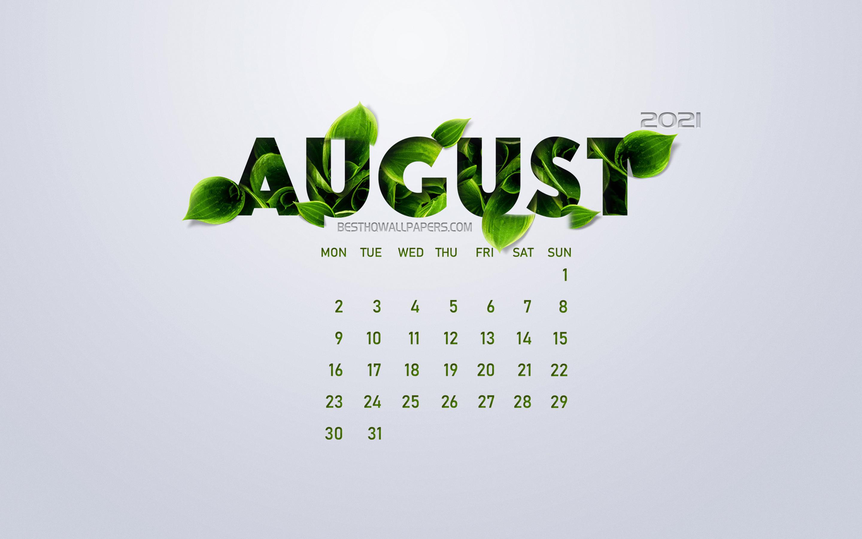 2880x1800 Download wallpaper August 2021 Calendar, eco concept, green leaves, August, white background, 2021 summer calendar, 2021 concepts, 2021 August Calendar for desktop with resolution 2880x1800. High Quality HD picture wallpaper
