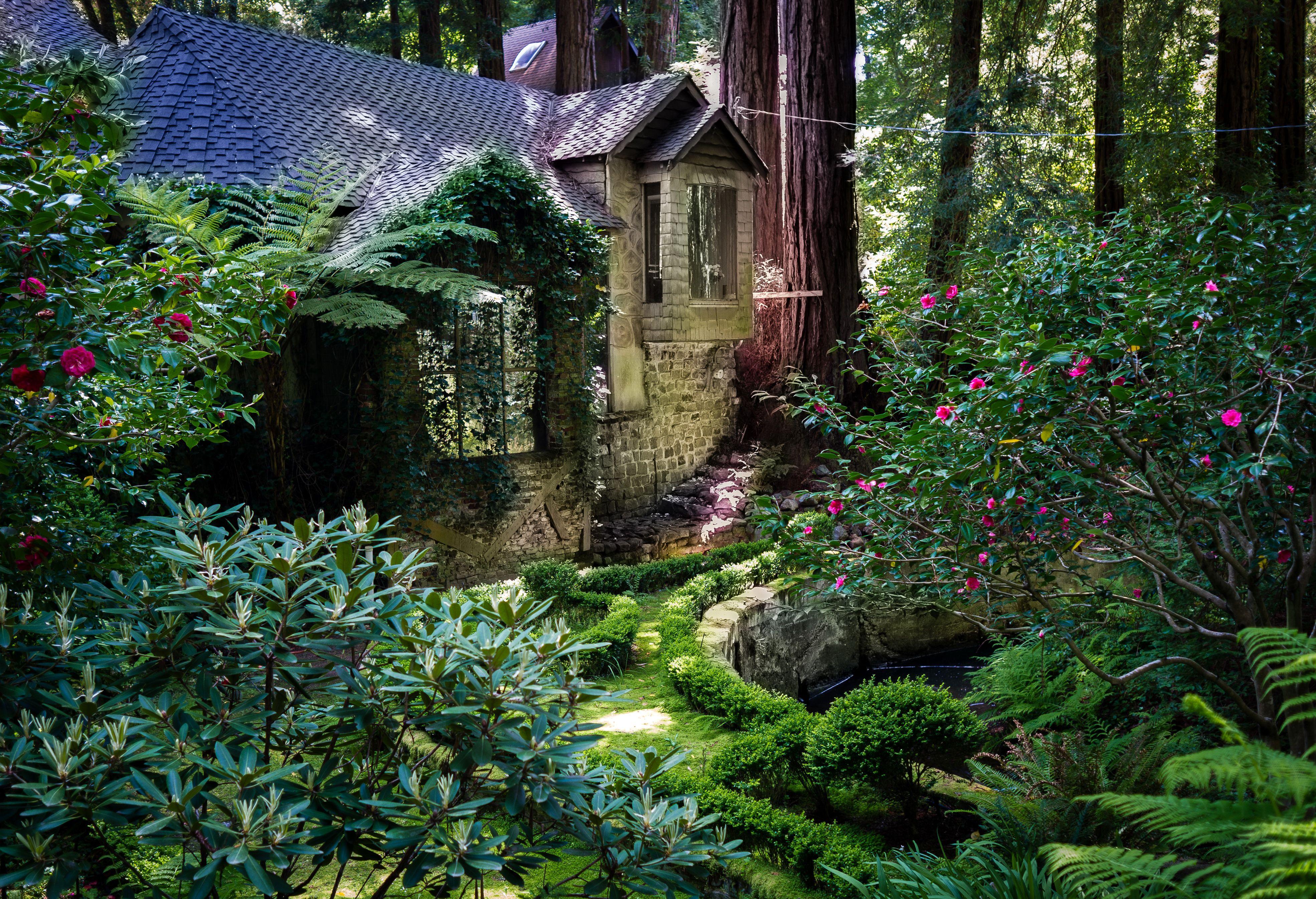 3940x2691 Wallpaper California USA Redwood National Park Nature 3940x2691