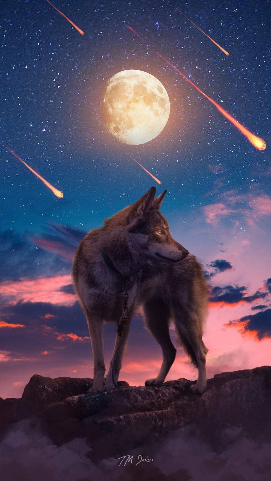 900x1600 iPhone Wallpaper for iPhone iPhone iPhone X, iPhone XR, iPhone 8 Plus High Quality Wallpaper,. Wolf iphone wallpaper, Wolf spirit animal, Wolf wallpaper
