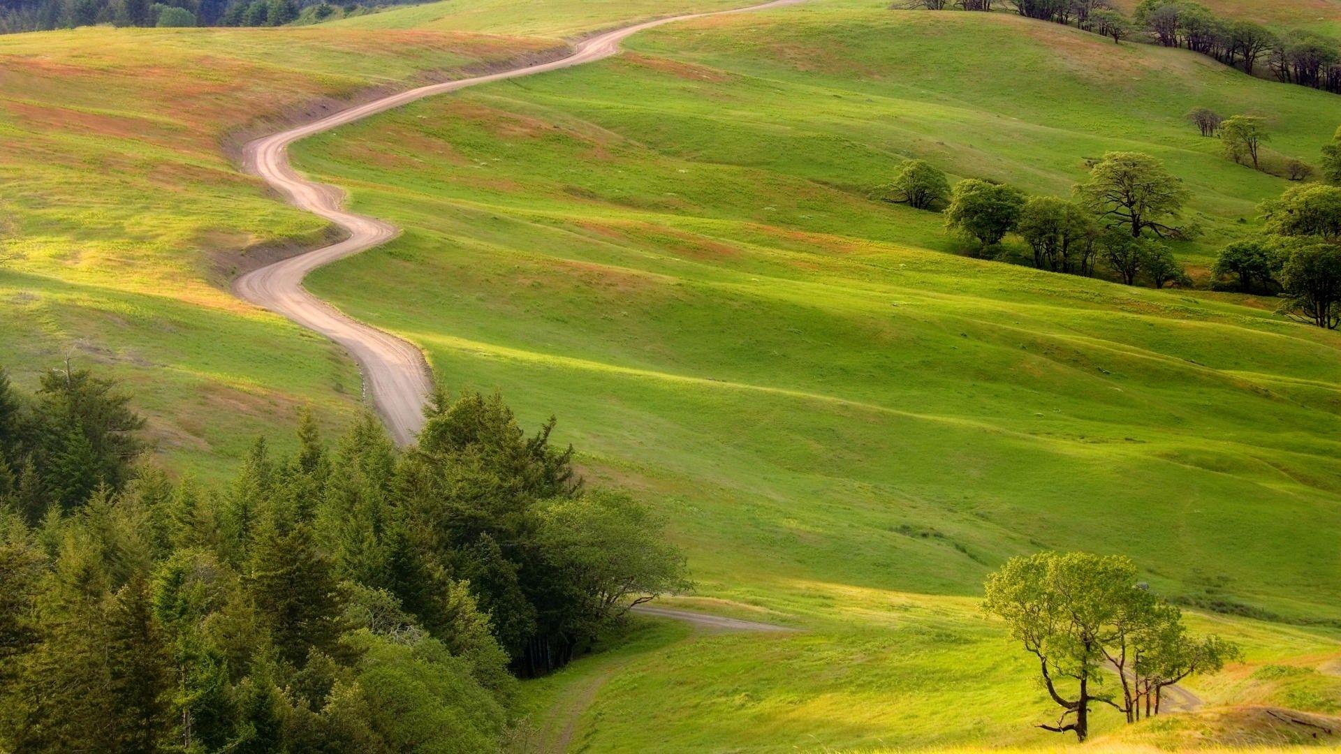 1920x1080 Wallpaper Catalogue.com Wallpaper Hills Road Redwood