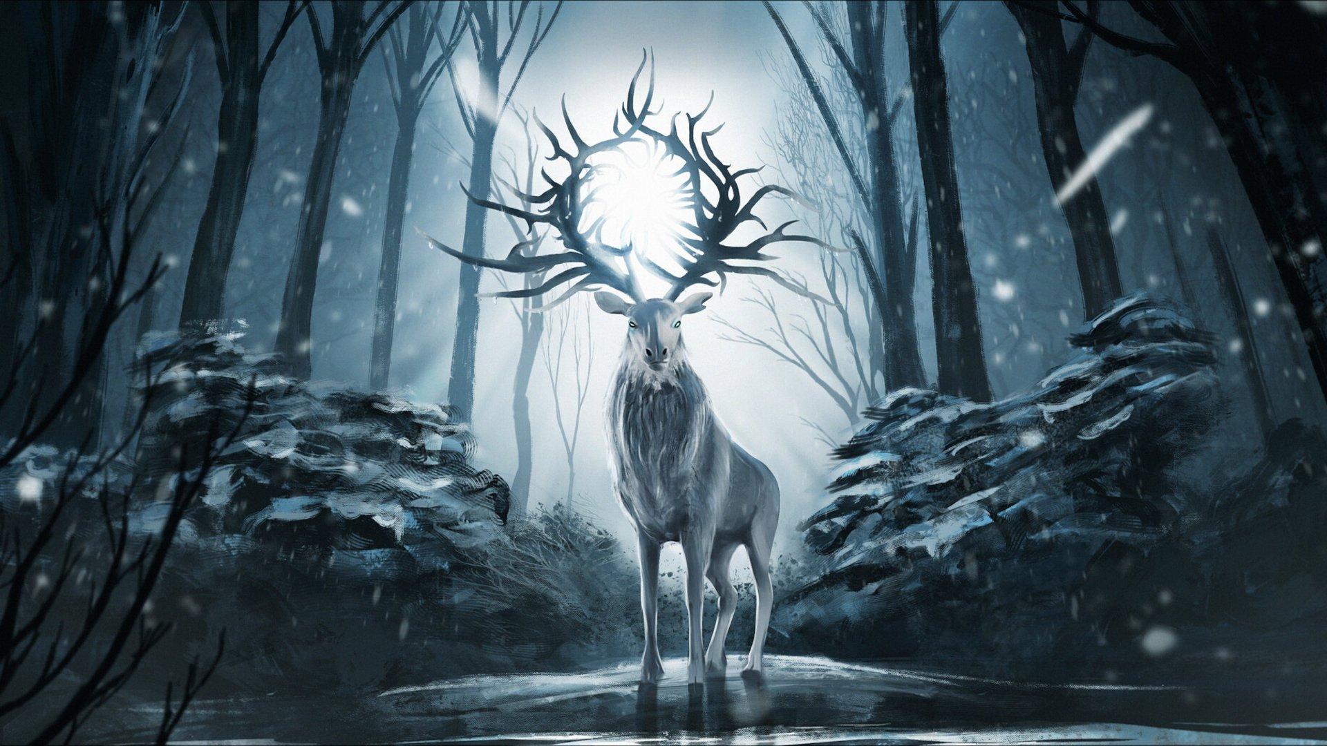 1920x1080 Shadow And Bone HD Wallpaper