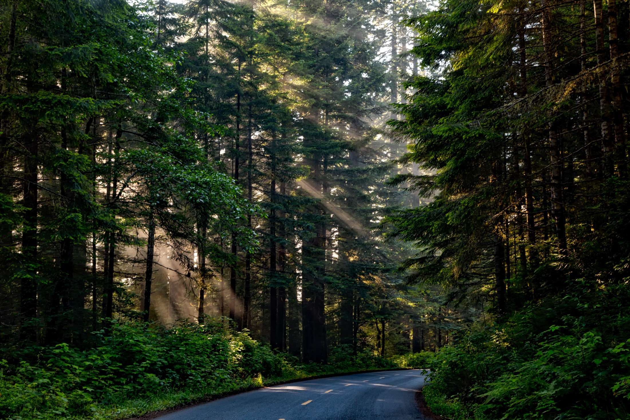 2201x1467 beautiful, california, country, countryside, forest, hdr, landscape