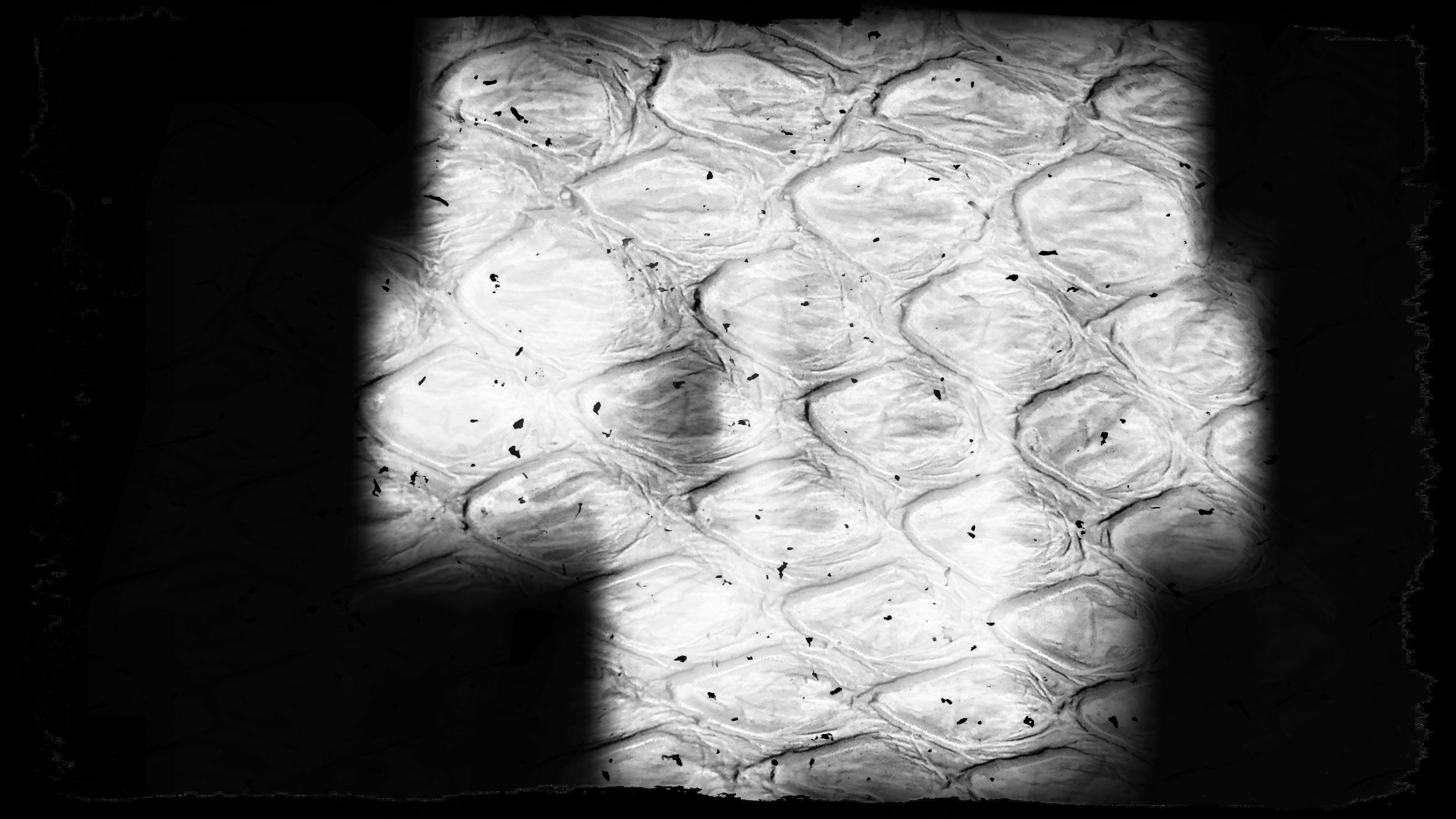 8000x4500 Free Black and White Texture Background