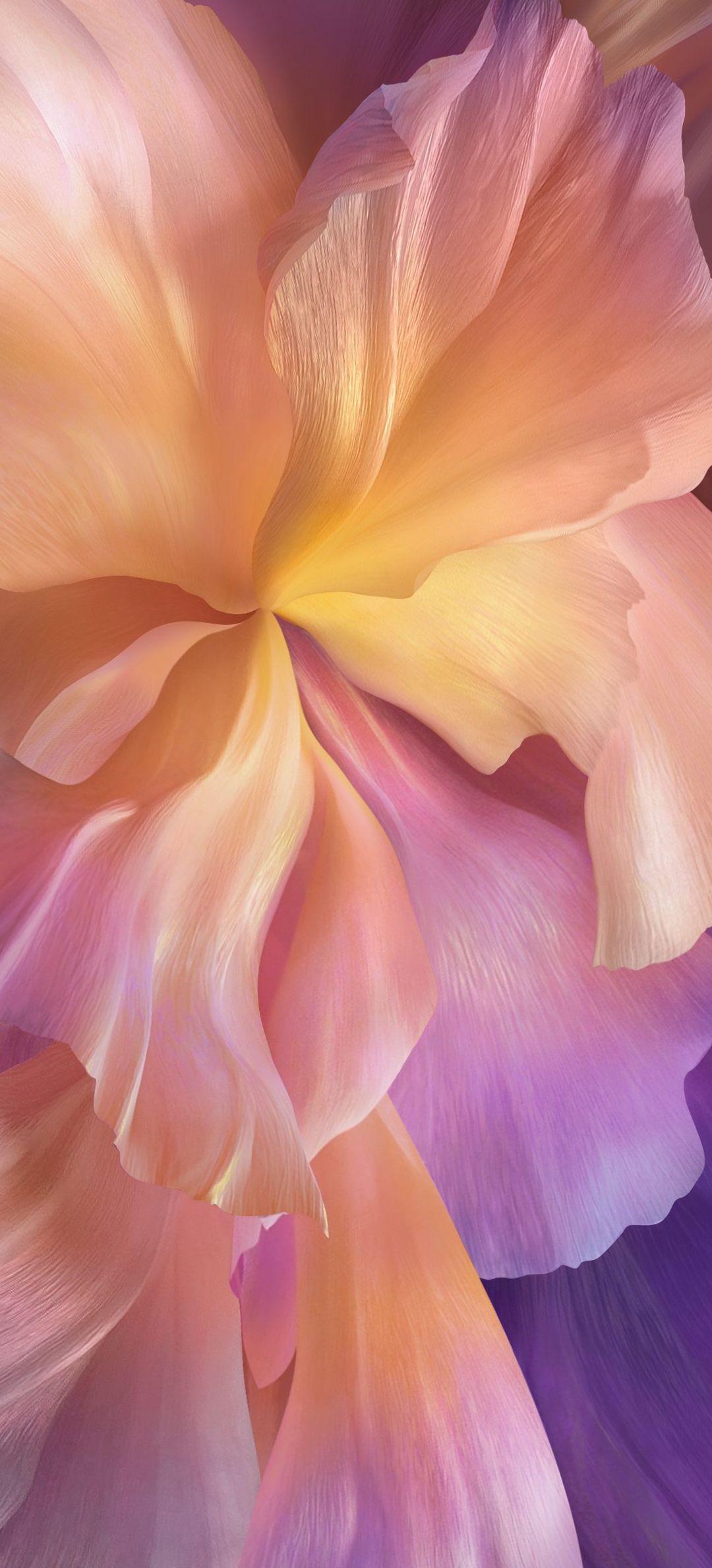 1080x2376 Vivo X60 Pro Stock Wallpaper [1080x2376]