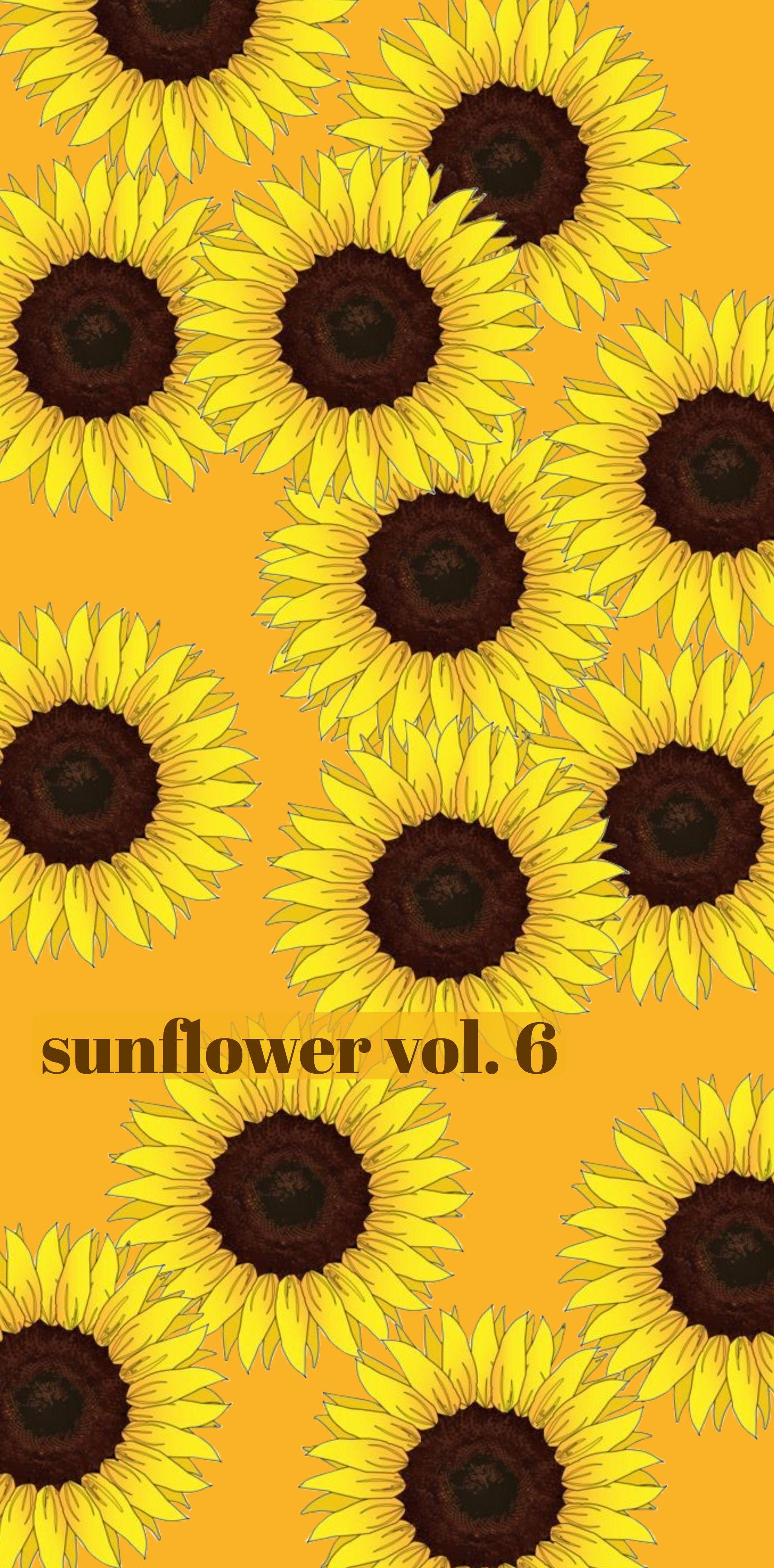 6個⌘向日葵〜Sunflower
