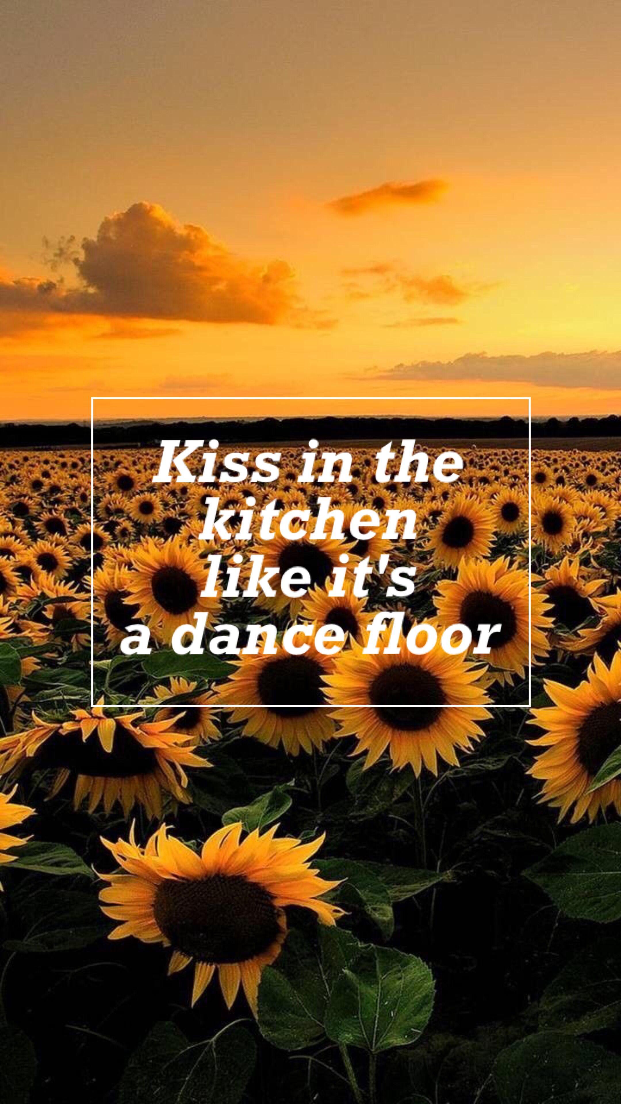 Sunflower Vol. 6 Wallpapers Top Free Sunflower Vol. 6 Backgrounds