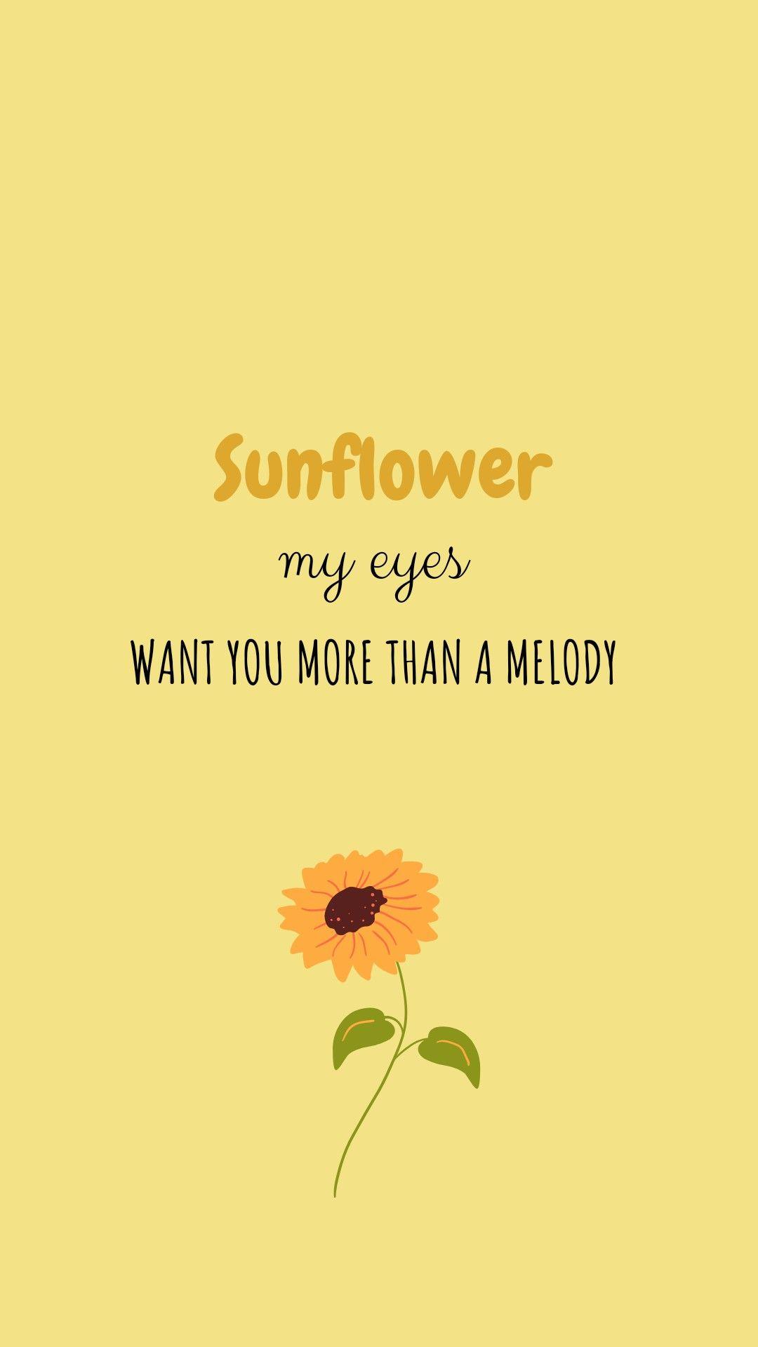 Sunflower Vol. 6 Wallpapers Top Free Sunflower Vol. 6 Backgrounds WallpaperAccess