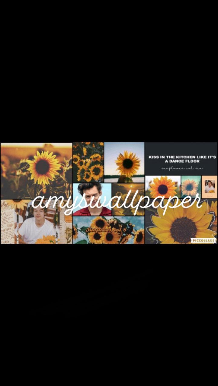 722x1280 Harry Styles Sunflower Vol.6 Laptop Wallpaper