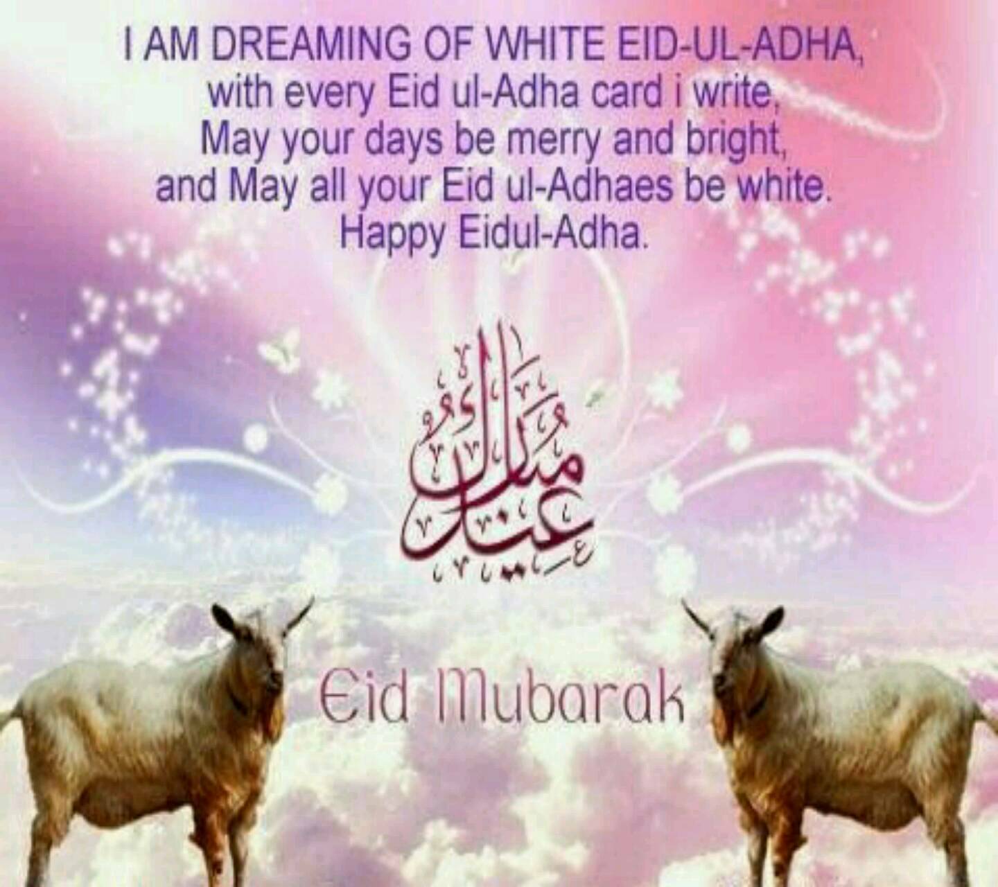 1440x1280 Eid Ul Adha Wallpaper