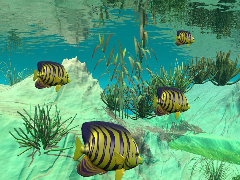 1024x768 Free download Freshwater Fish Background wallpaper wallpaper HD background [1024x768] for your Desktop, Mobile & Tablet. Explore Freshwater Fish Wallpaper. Freshwater Fish Wallpaper, Fish Wallpaper, Fish Background