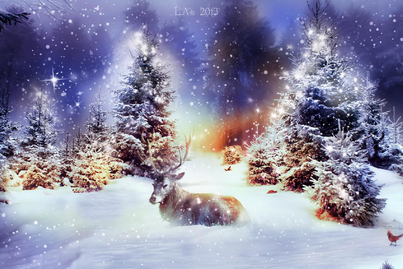 1549x1033 Christmas Animal Wallpaper for Desktop