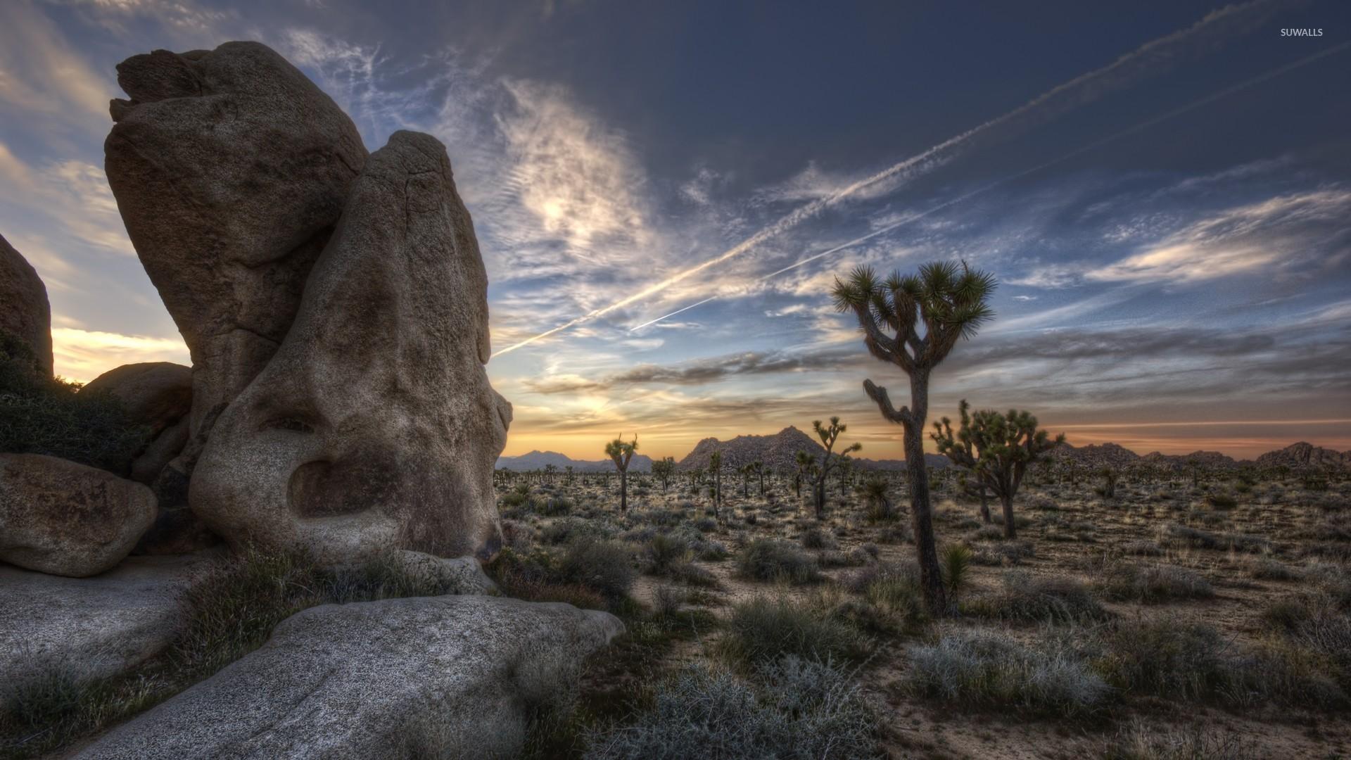 1920x1080 Joshua Tree National Park [4] wallpaper wallpaper