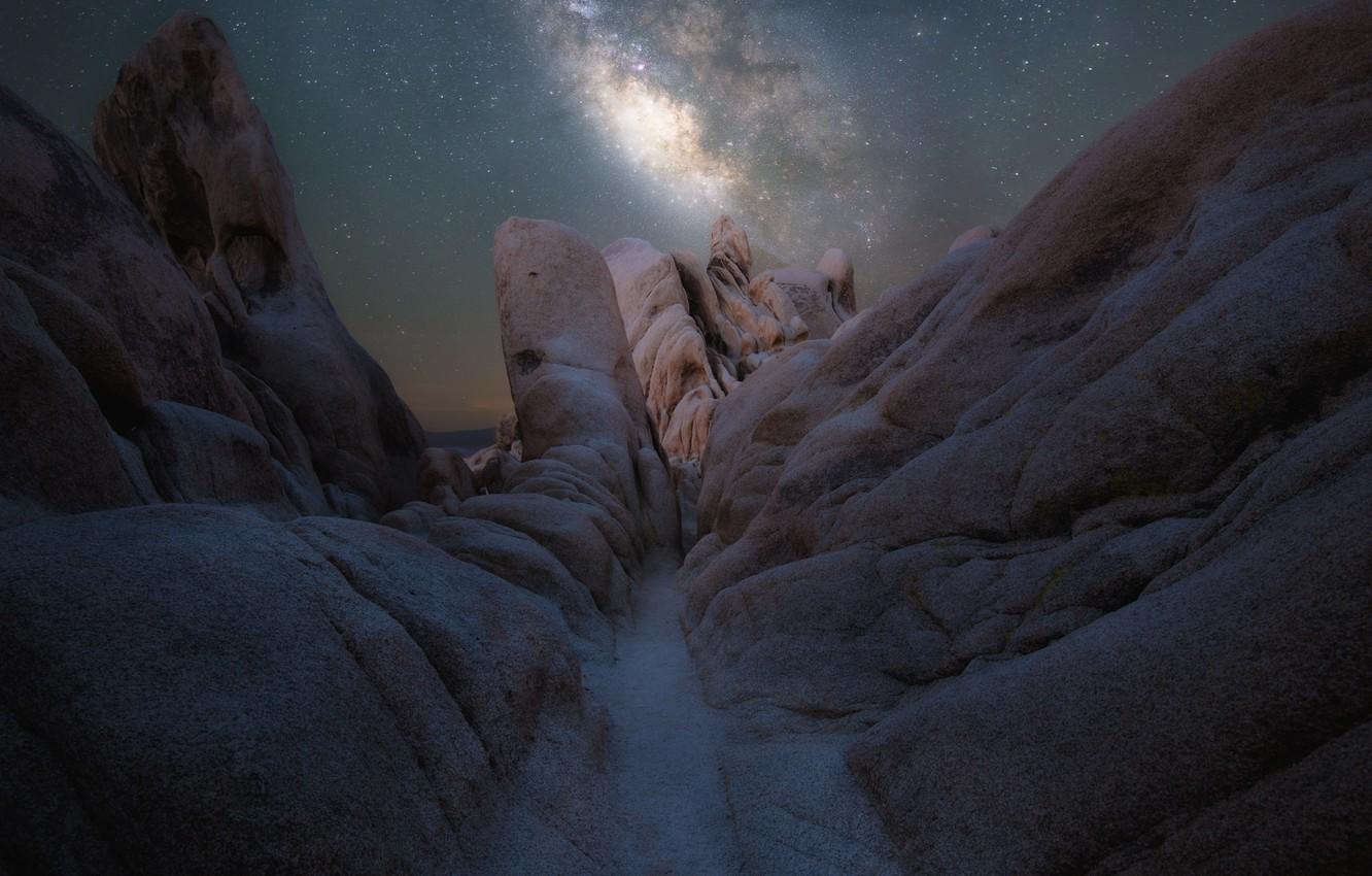 1332x850 Wallpaper the sky, night, nature, stones, the milky way, Joshua Tree, national park image for desktop, section природа