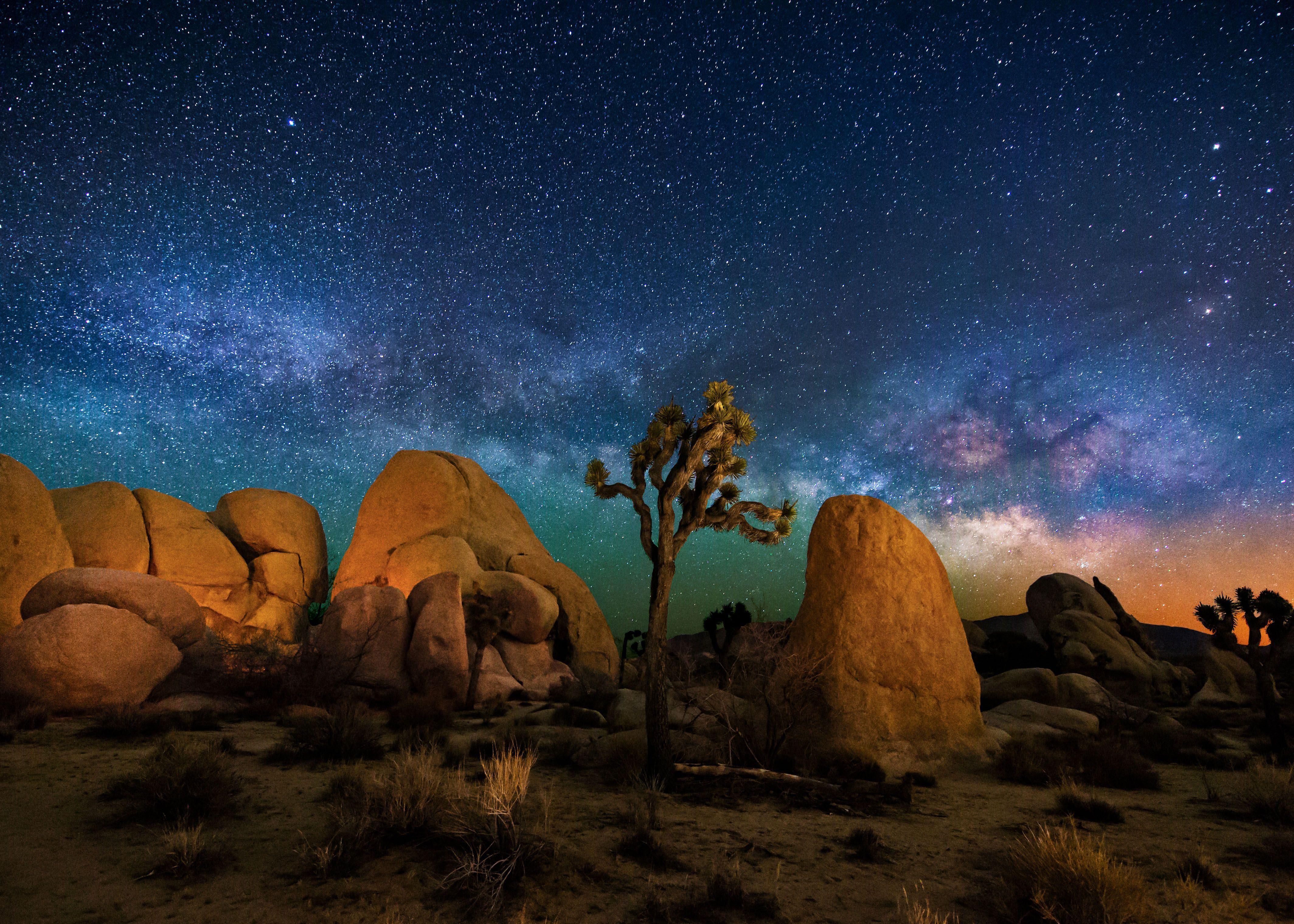 4255x3039 Joshua Tree Wallpaper