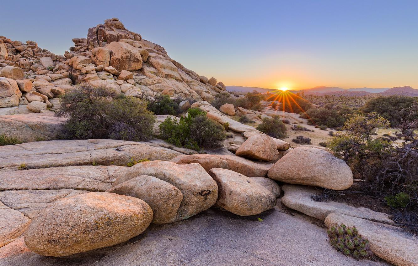 1332x850 Wallpaper sunset, CA, USA, California, Joshua Tree National Park image for desktop, section пейзажи