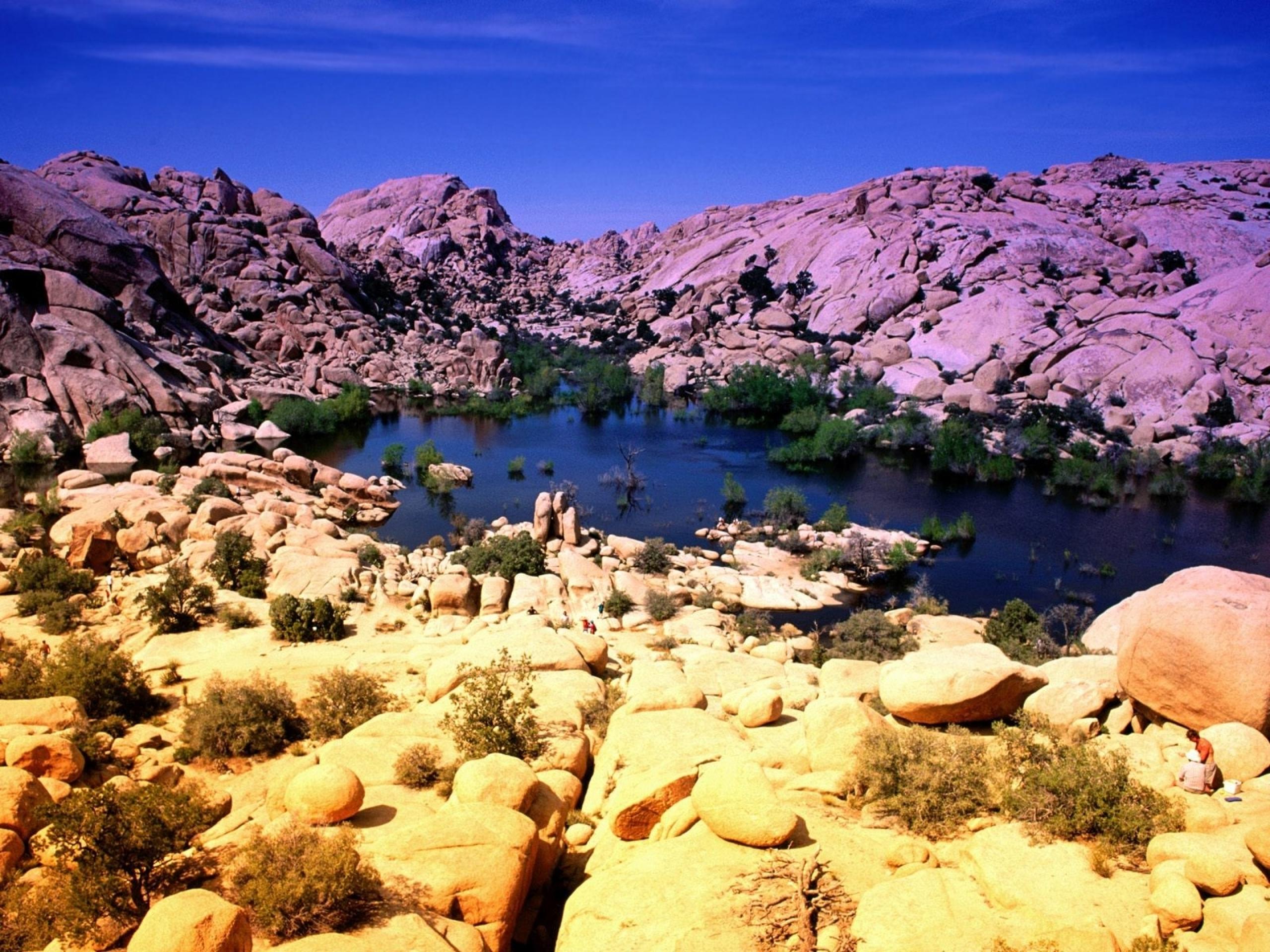 2560x1920 Joshua Tree National Park wallpaper. Joshua Tree National Park