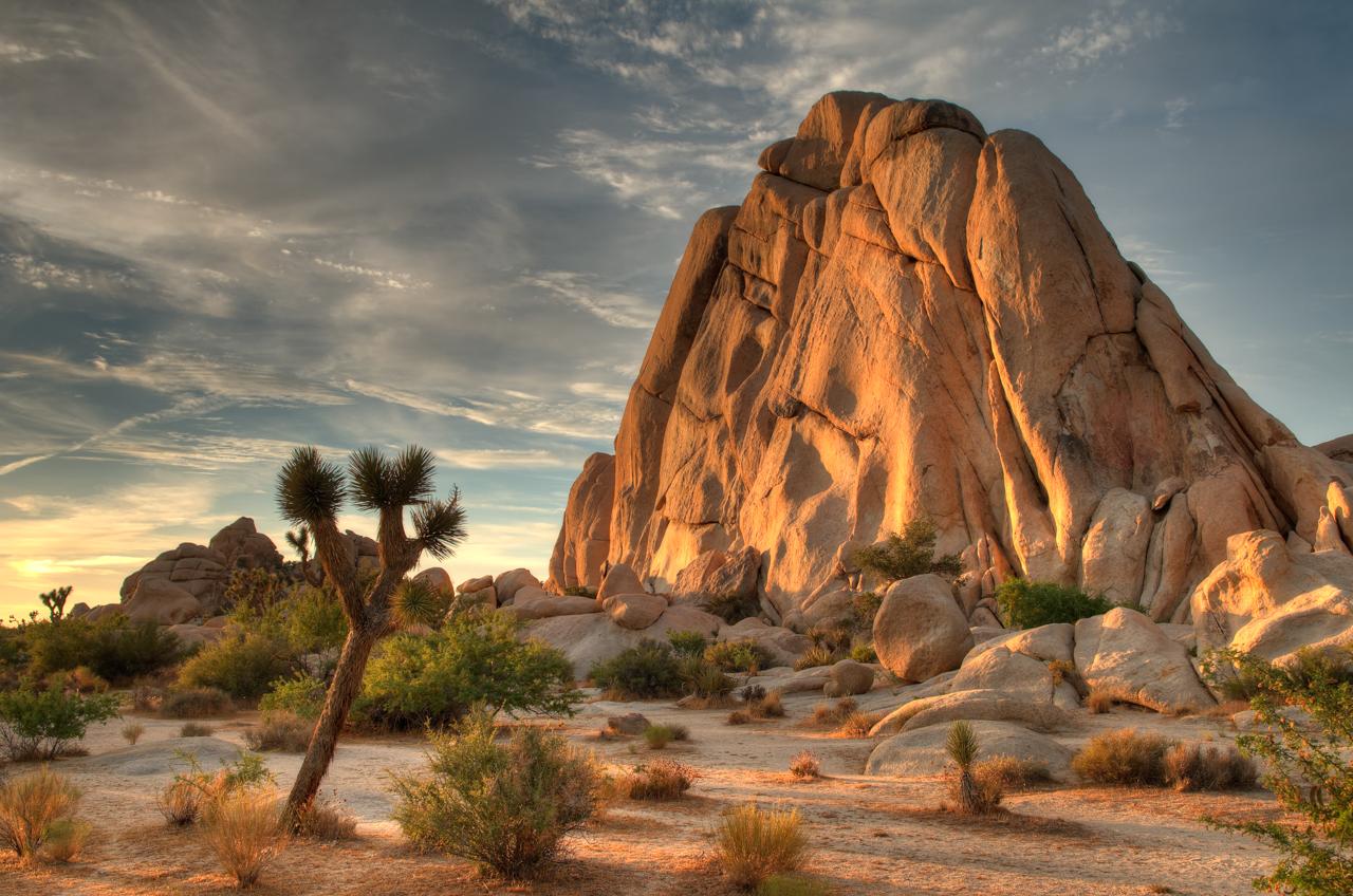 1280x848 Most viewed Joshua Tree National Park wallpaperK Wallpaper