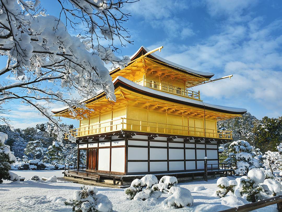 1080x812 Heavy Snowfall Transforms Kyoto into Wintry Wonderland & Tamago
