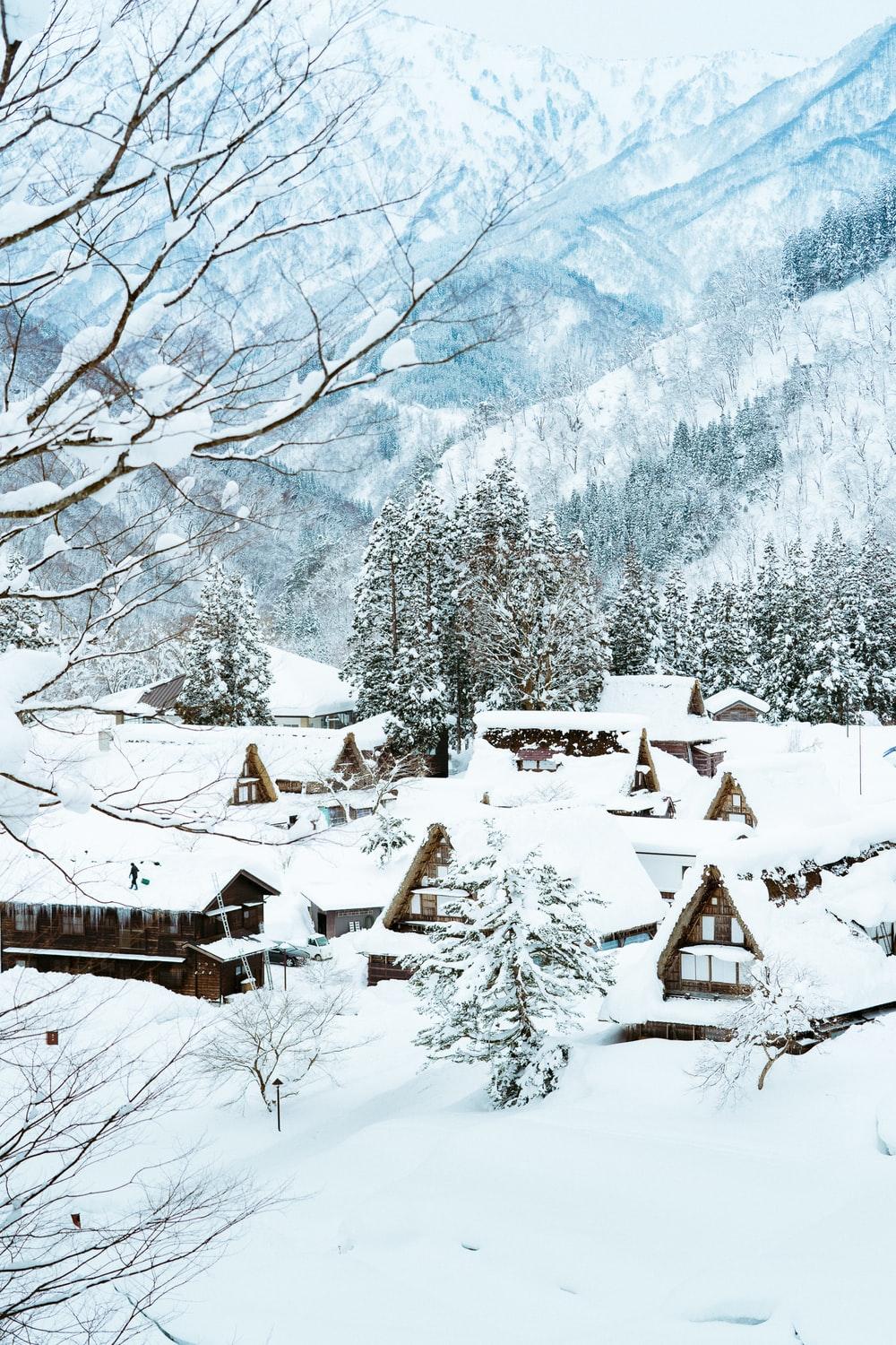 1000x1500 Winter Japan Picture. Download Free Image