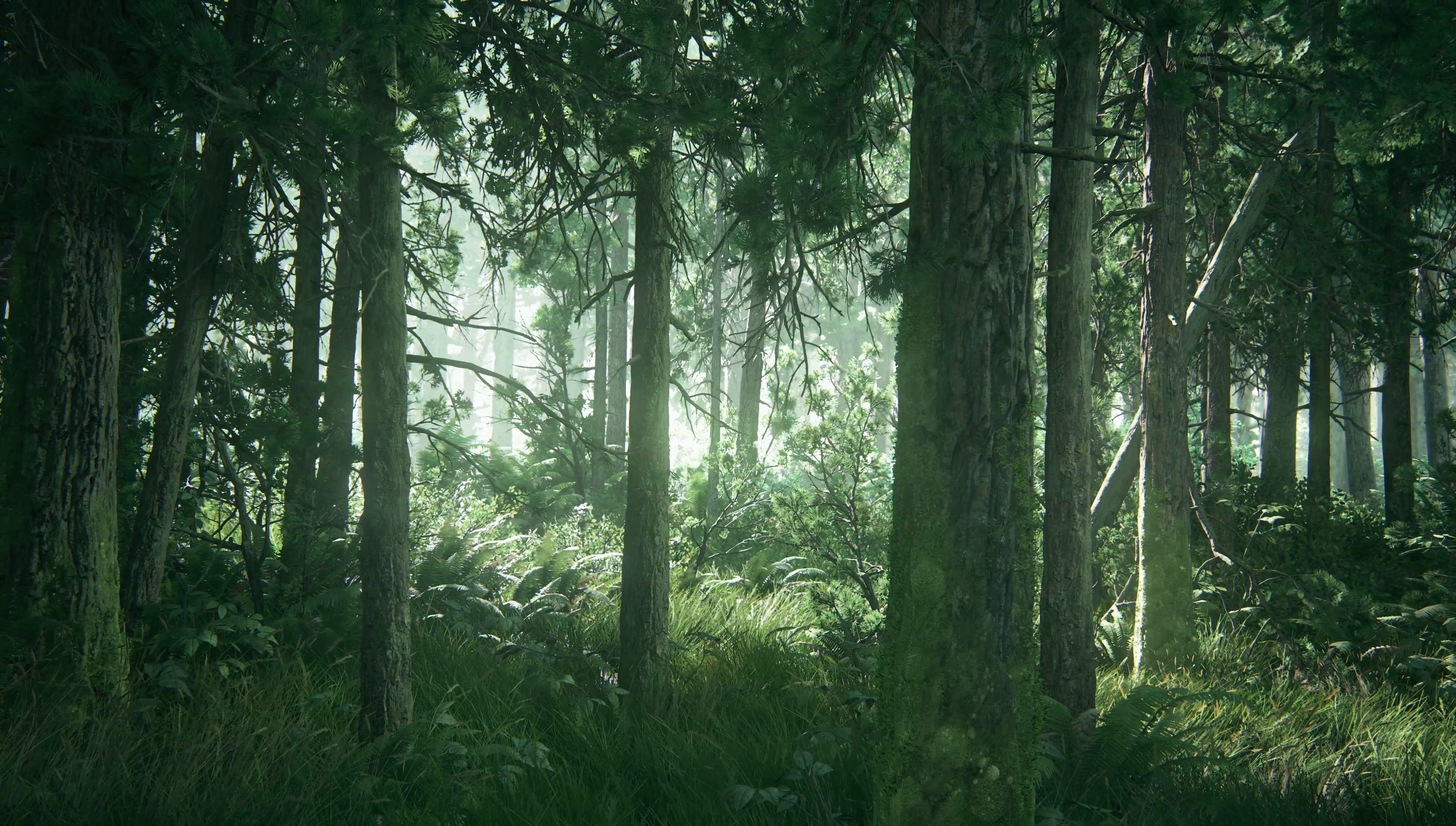 3840x2178 HD wallpaper: green tree, The Last of Us, Part II, apocalyptic, video games. The last of us, The last of us wallpaper, Last of us wallpaper