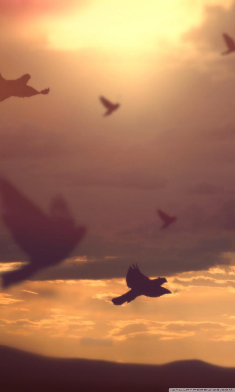 768x1280 The Way Back Ultra HD Desktop Background Wallpaper for 4K UHD TV : Widescreen & UltraWide Desktop & Laptop : Multi Display, Dual Monitor : Tablet