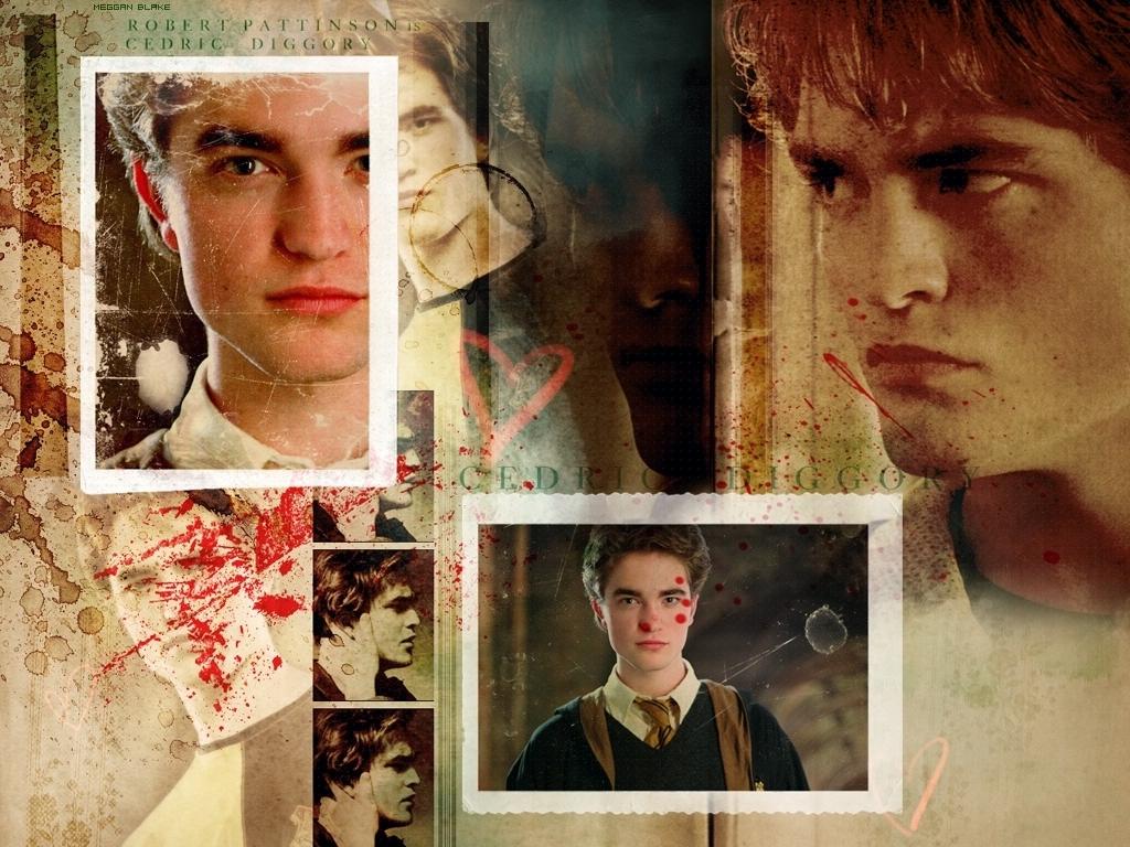 1024x768 Cedric Diggory Potter Wallpaper