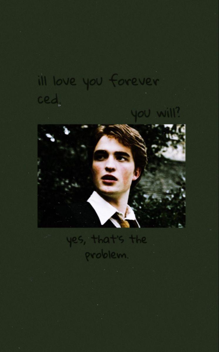 746x1200 cedric diggory background/ wallpaper. Cedric diggory, Harry potter characters, Harry potter funny