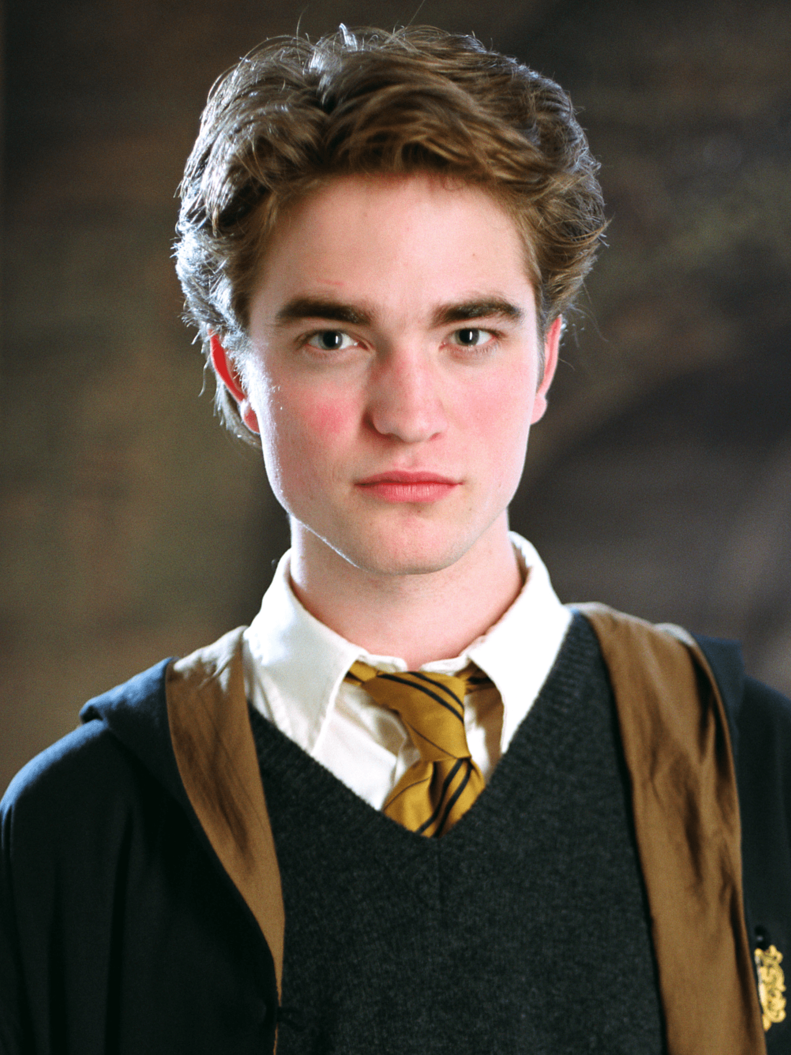 1575x2100 Cedric Diggory